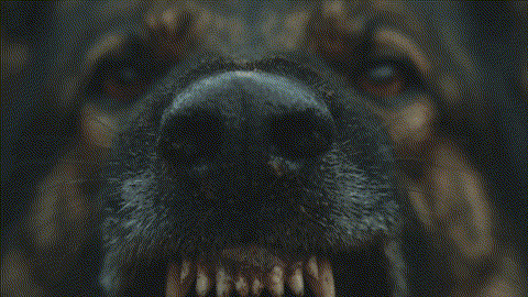 Angry_guard_dog_202601021129.gif