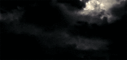 giphy-2.gif