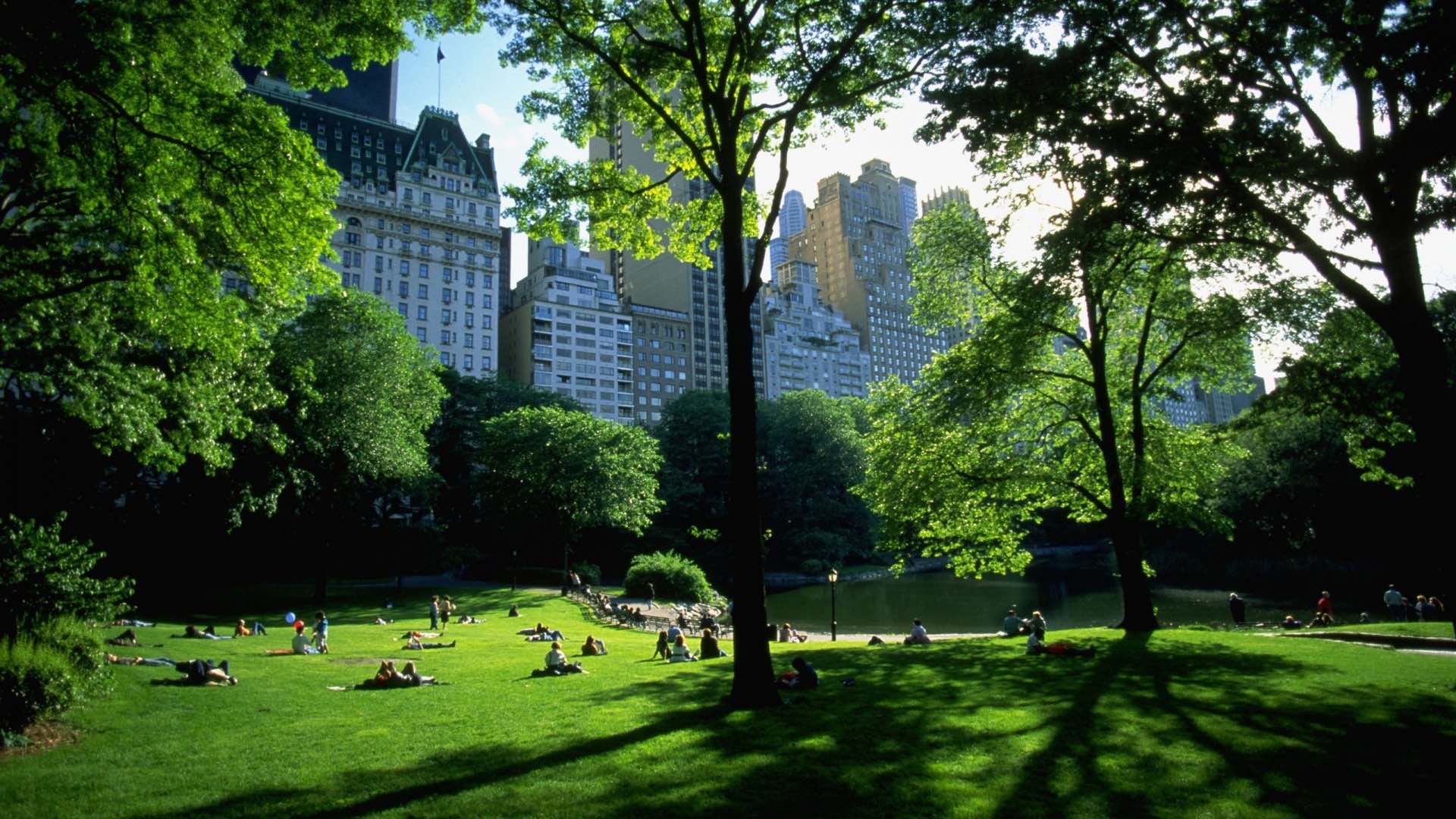 central-park.jpg