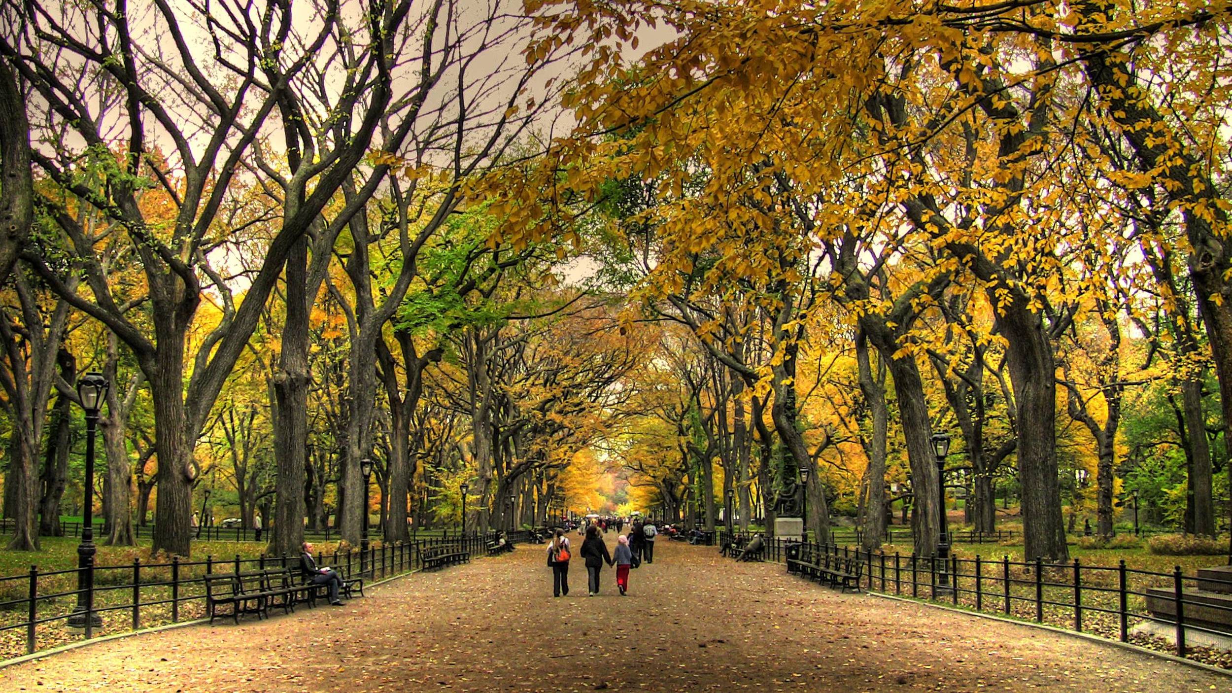 central-park-2.jpg