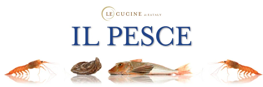 il-pesce.jpg