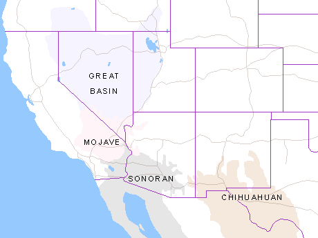 Southwestern deserts of the United States of America