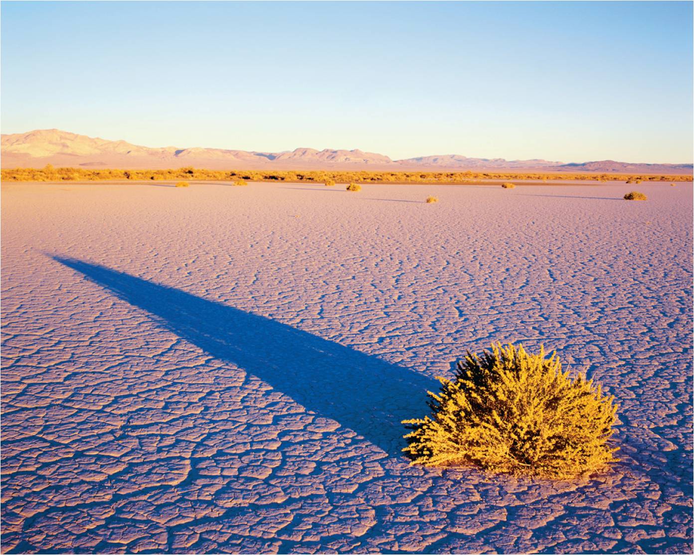 The Great Basin desert