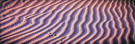 The Chihuahuan Dunes