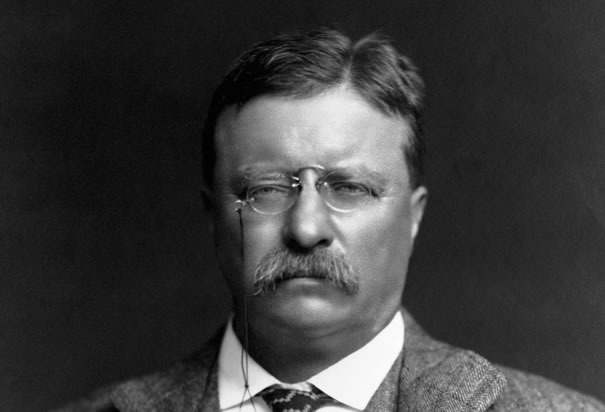 Theodore Roosevelt Jr. (October 27, 1858 – January 6, 1919) was an American statesman, author, explorer, soldier, naturalist, and reformer who served as the 26th President of the United States from 1901 to 1909. As a leader of the Republican Party during this time, he became a driving force for the Progressive Era in the United States in the early 20th century.