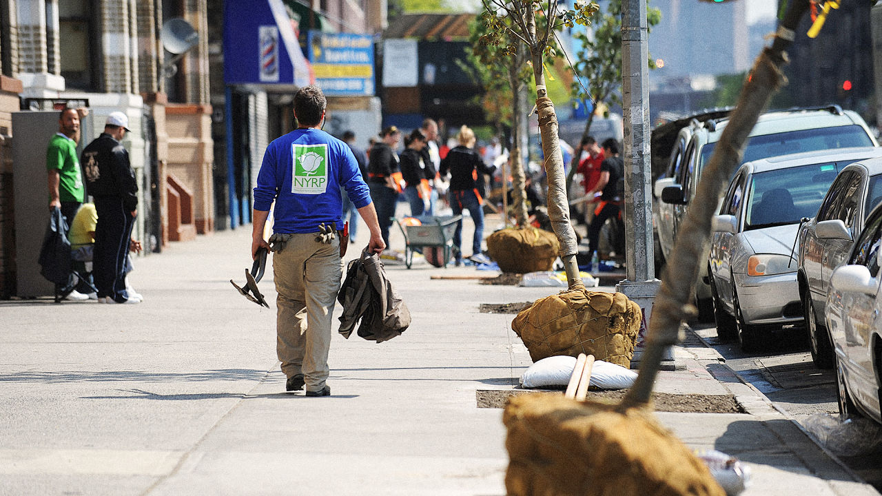 Tree service request can be found here.