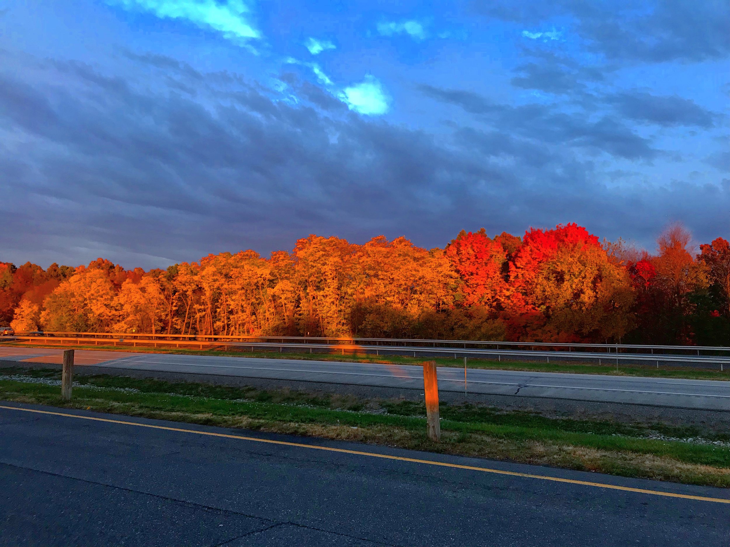 THE BLOG Autumn in New York!