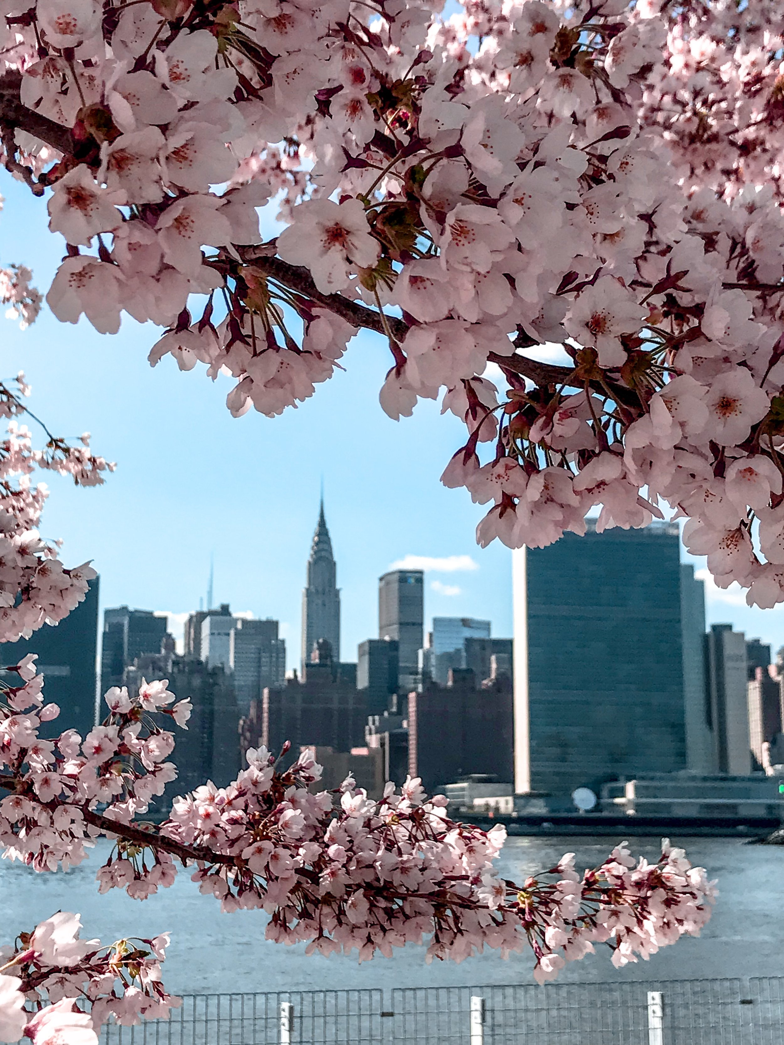 THE WELCOME BLOG  New York City & The Colors of Spring