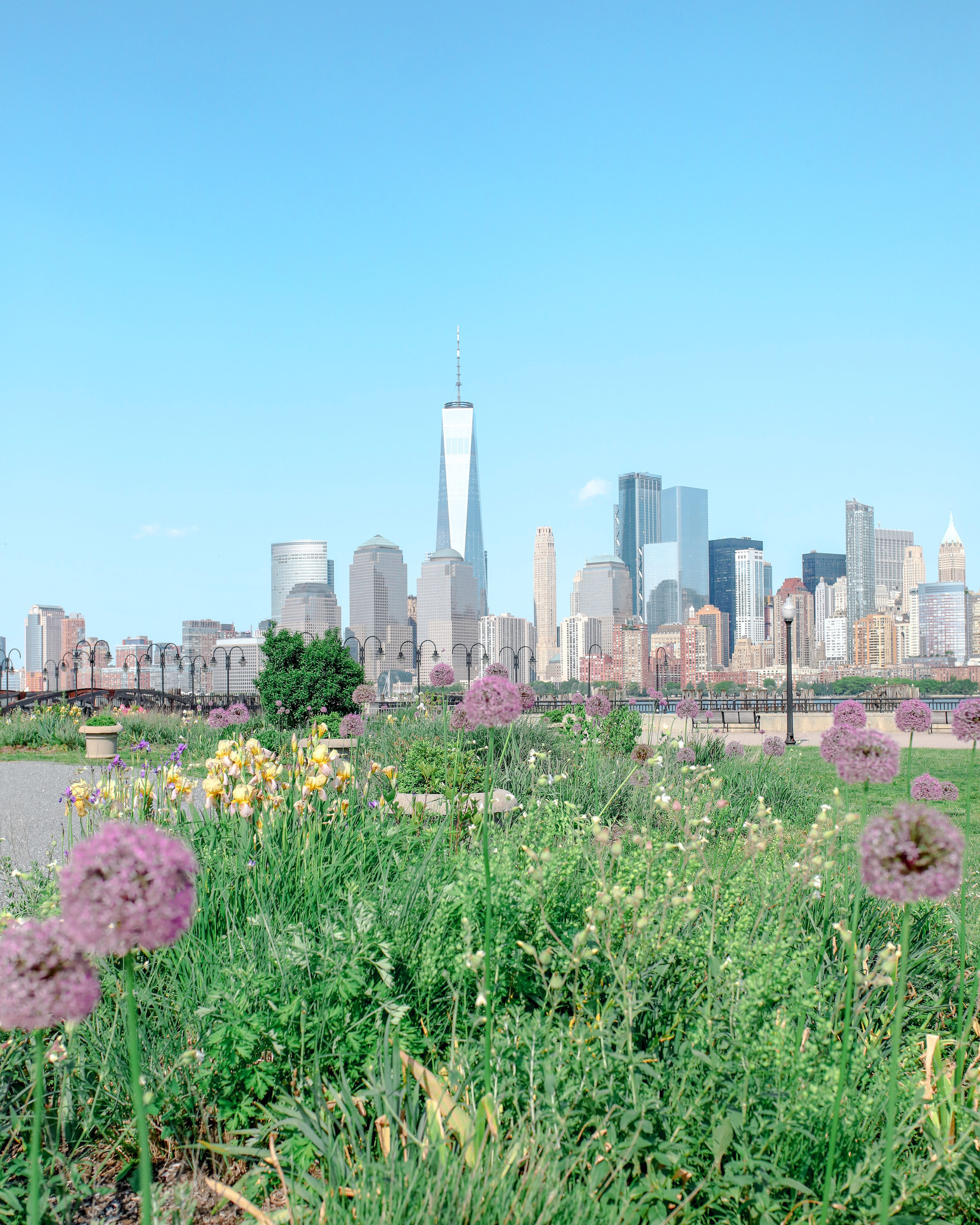 Flowers and the Freedom Tower