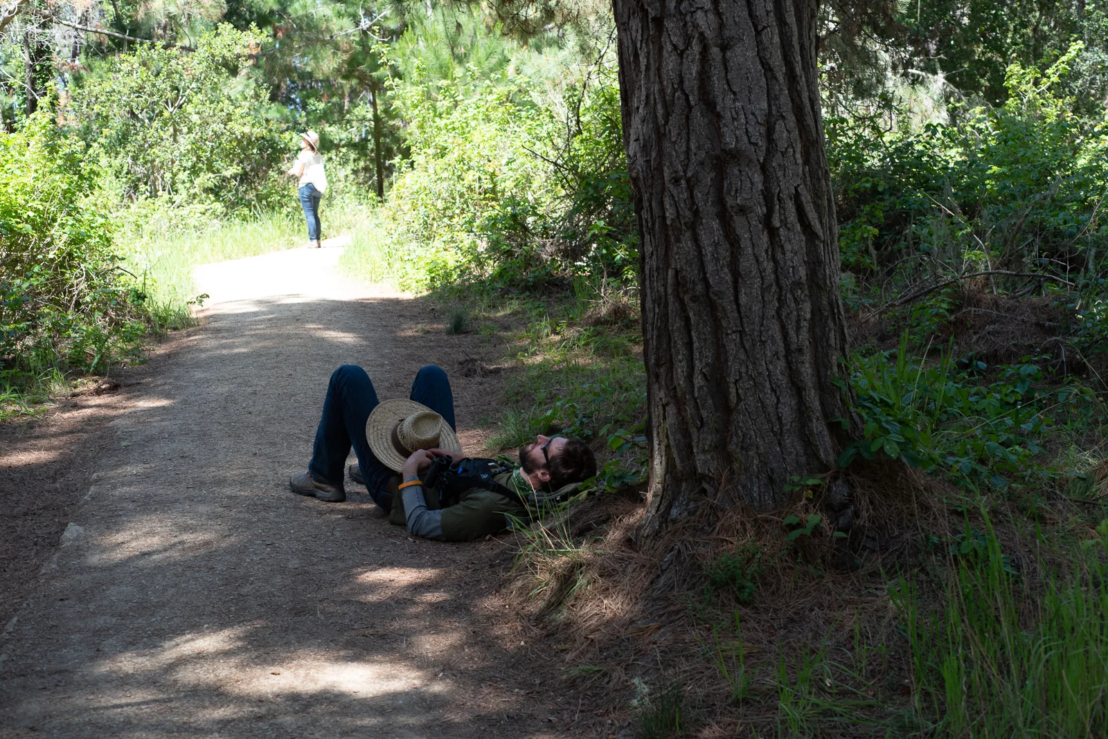 20180427-DSC_1331.jpg