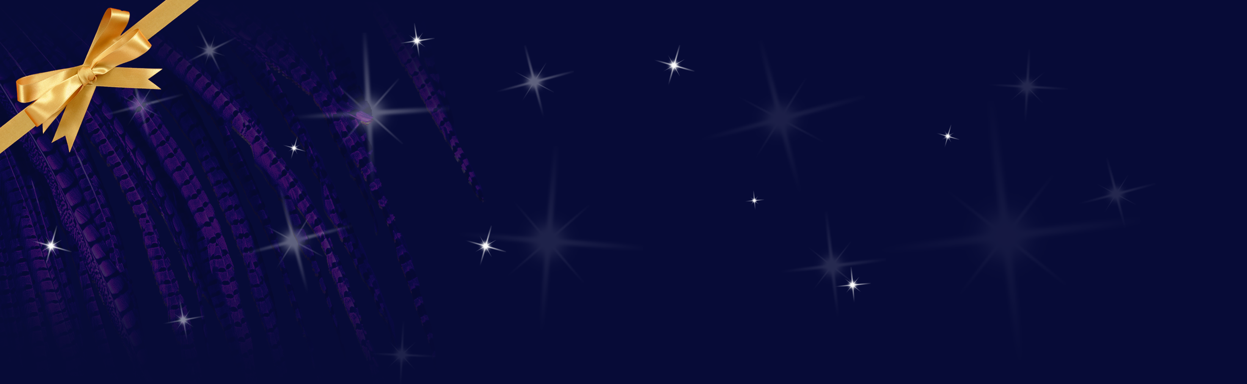 banner-sterren-en-fazant-+-strik-versie-3.png