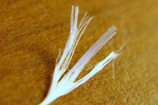 Nylon floss has a tendency to fray sometimes, but generally users do not find this to be a big problem. Simply discard the frayed portion and start again.