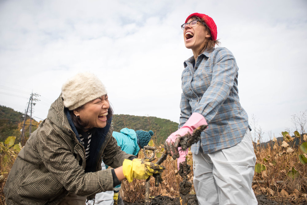 lotus_root_harvest_6233.jpg