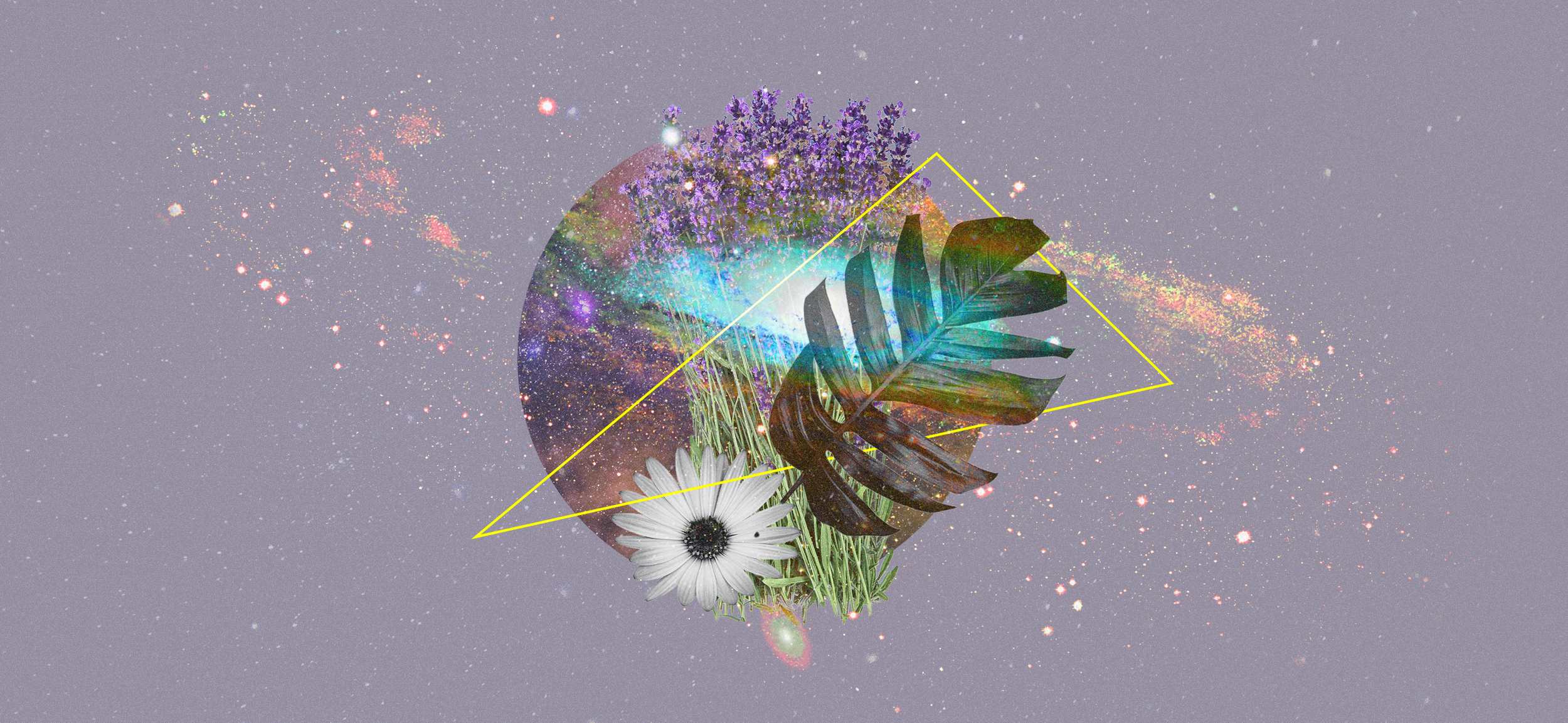Trips-FlowerFractals.png