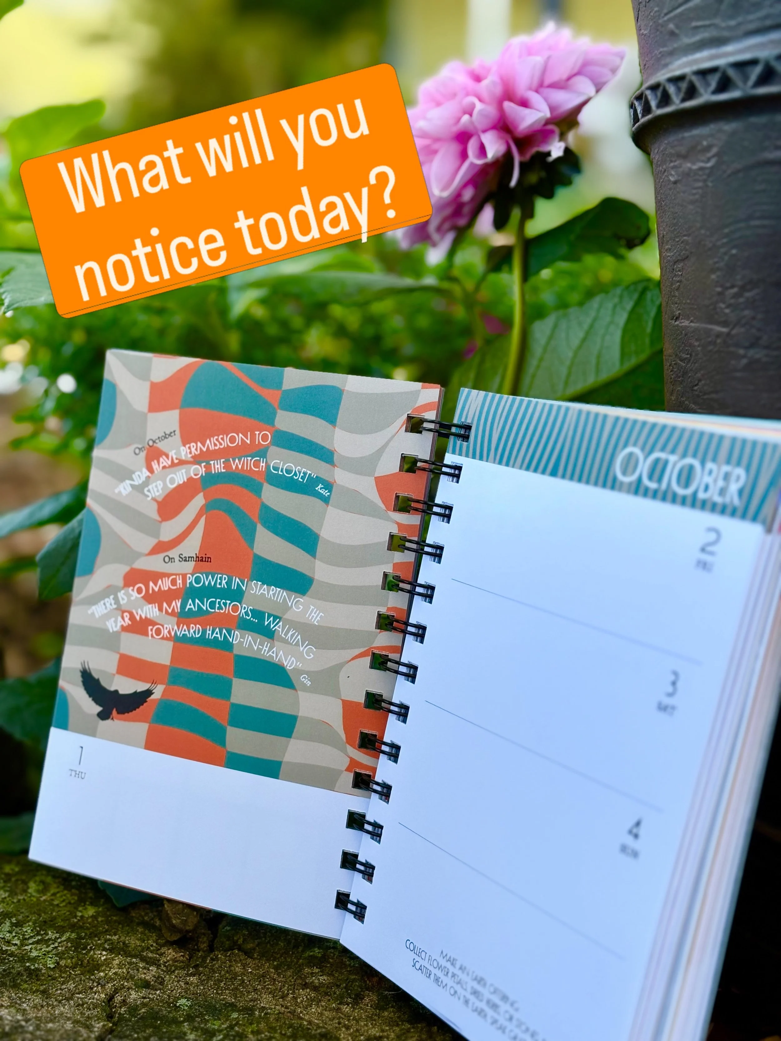 It&rsquo;s the first day of Earth Rhythms! Happy October!

What will you notice? 👀

Weekly nudges. Monthly meditations. A yearly calendar. Eight sabbats with rituals and crafting bundles to celebrate each turn of the wheel.

Come find the Rhythm 🌿 