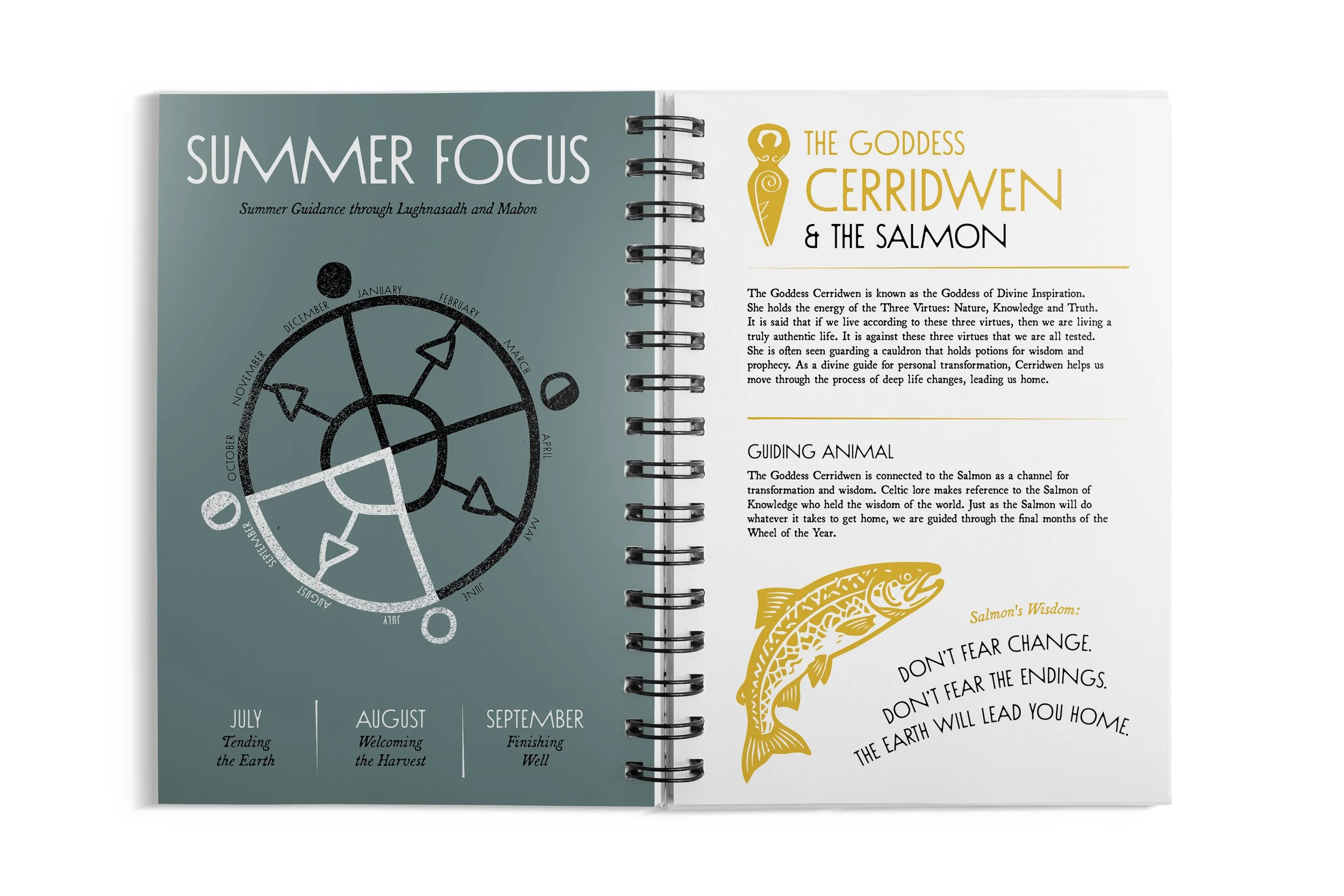 summer-focus.jpg