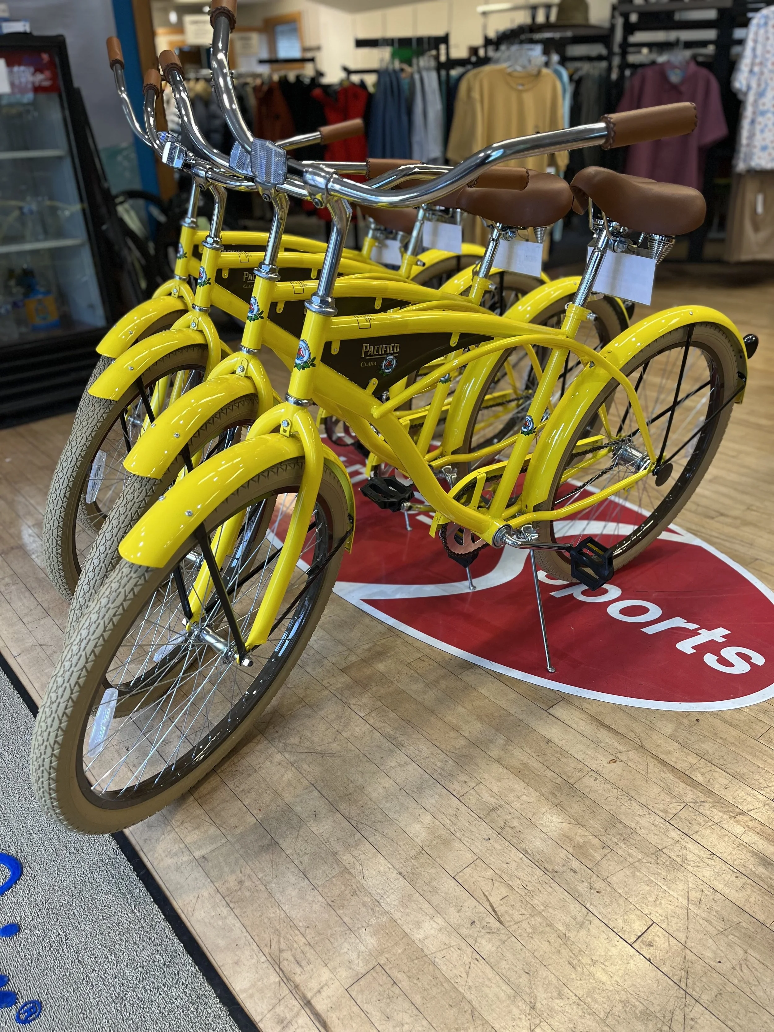 Pacifico beach cruiser hotsell