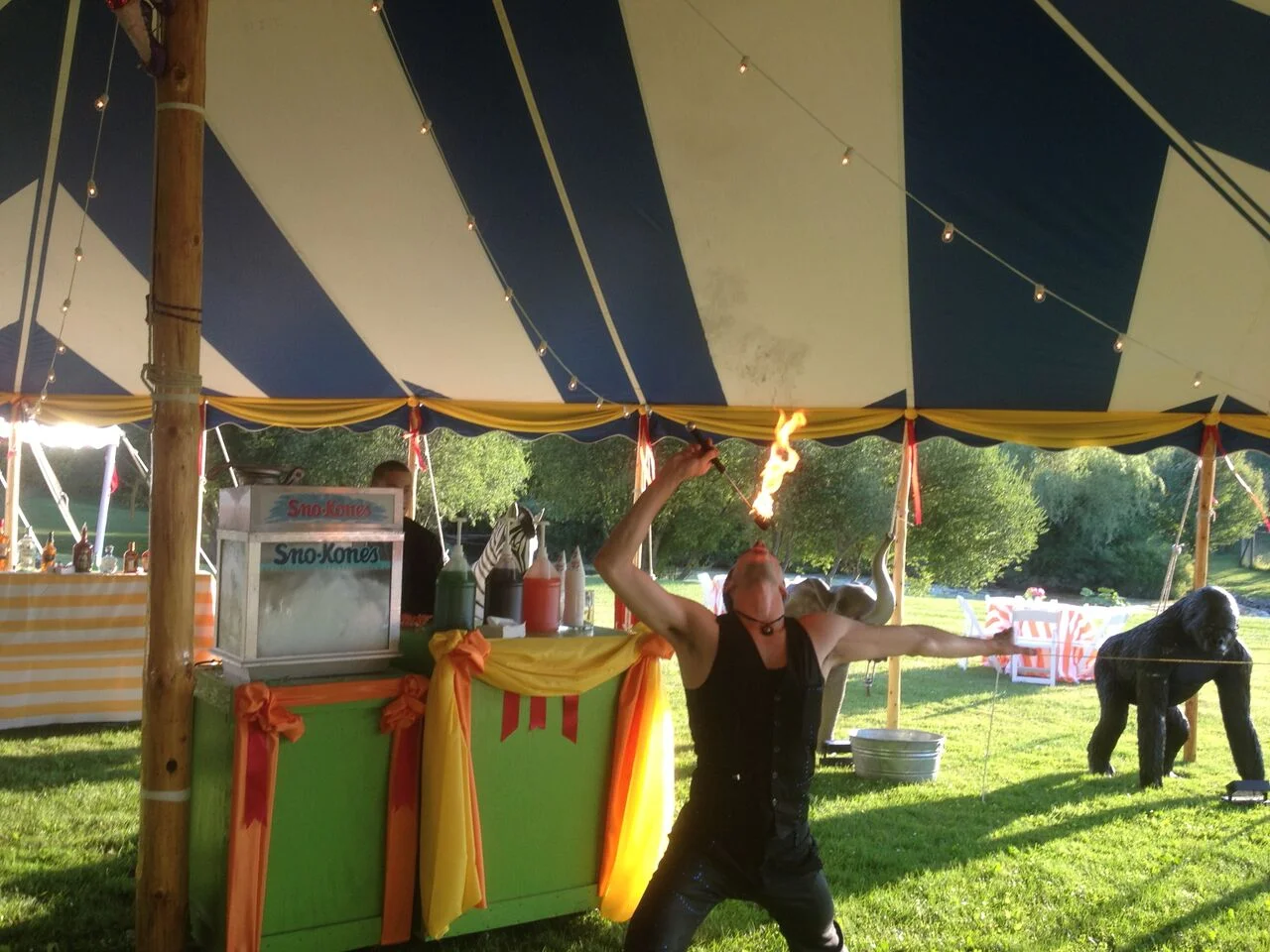 Boston Circus Guild @ The Ballard @ Hall Family Circus