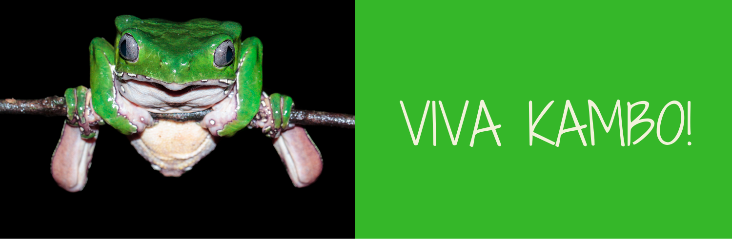 VIVA KAMBO! 3 for website event page.png