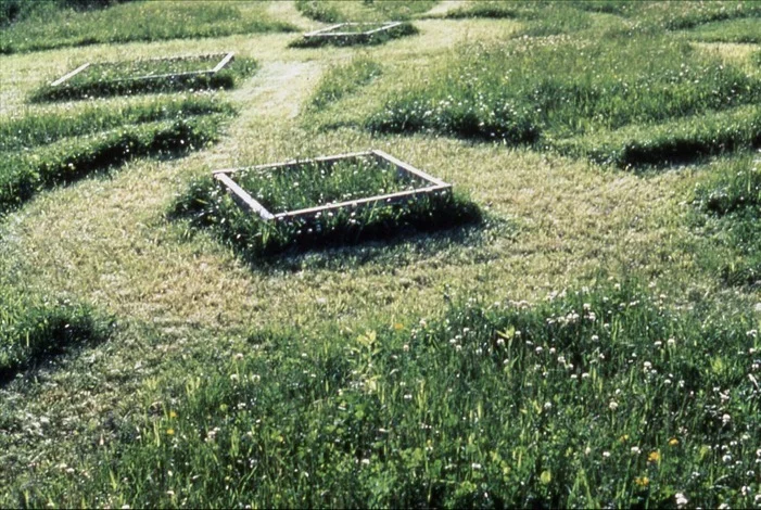 grass2_1024x144.jpg