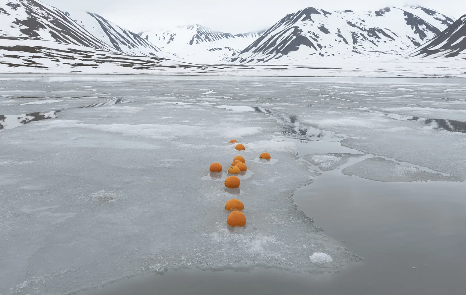 oranges ice 1500.jpg