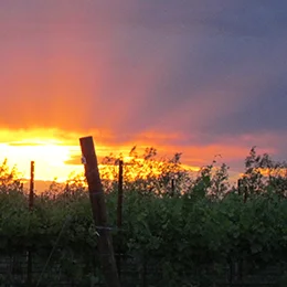 SUNSET BLOCK