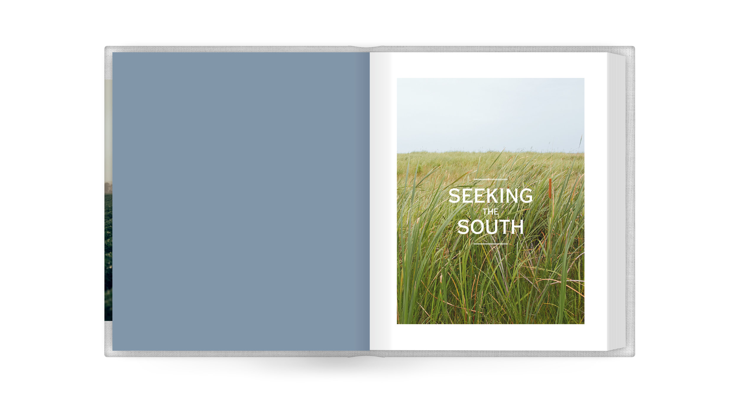 Seeking-3.jpg
