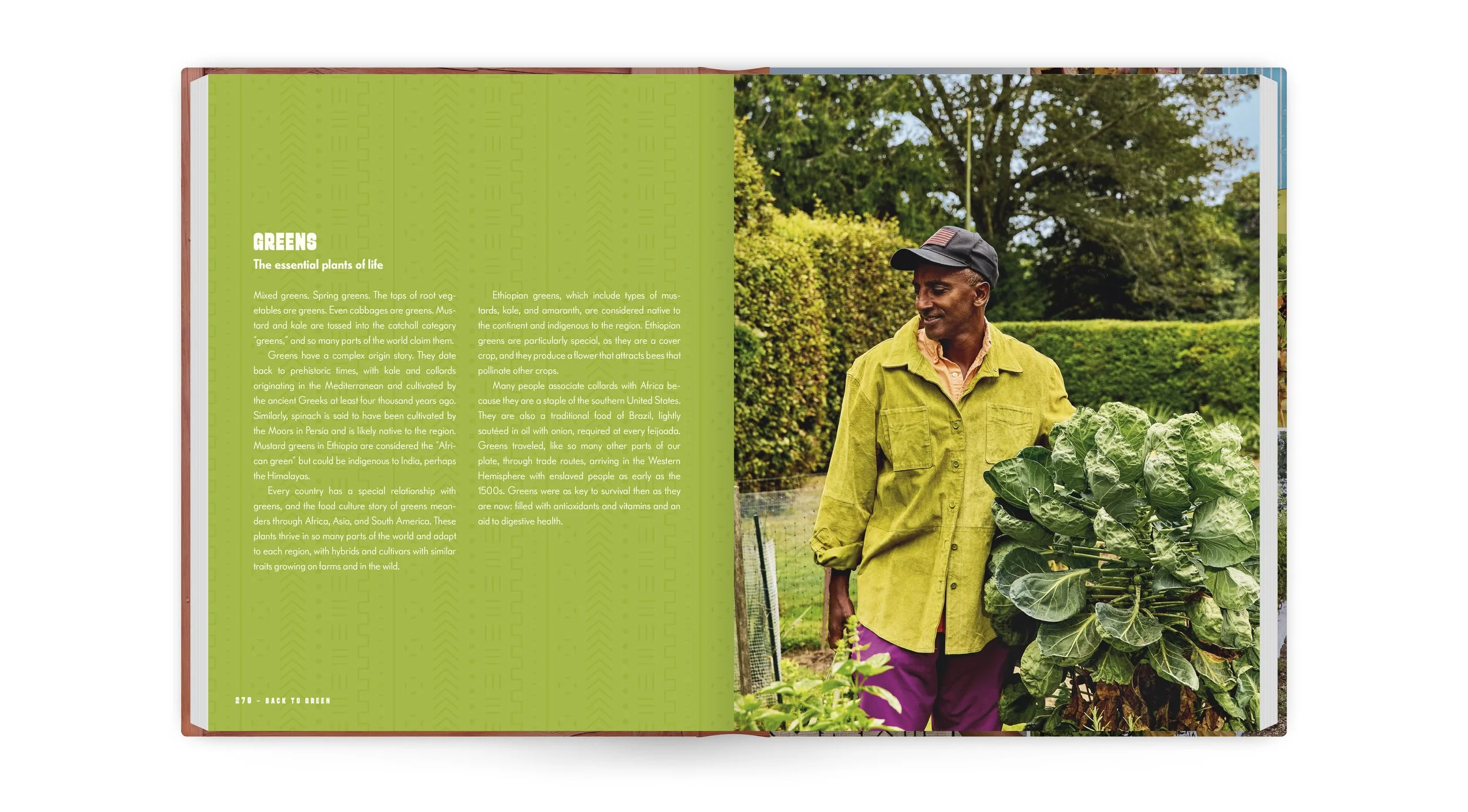 BacktoGreen-13.jpg