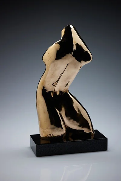 ASPS Presidential Presentation Torso 2013