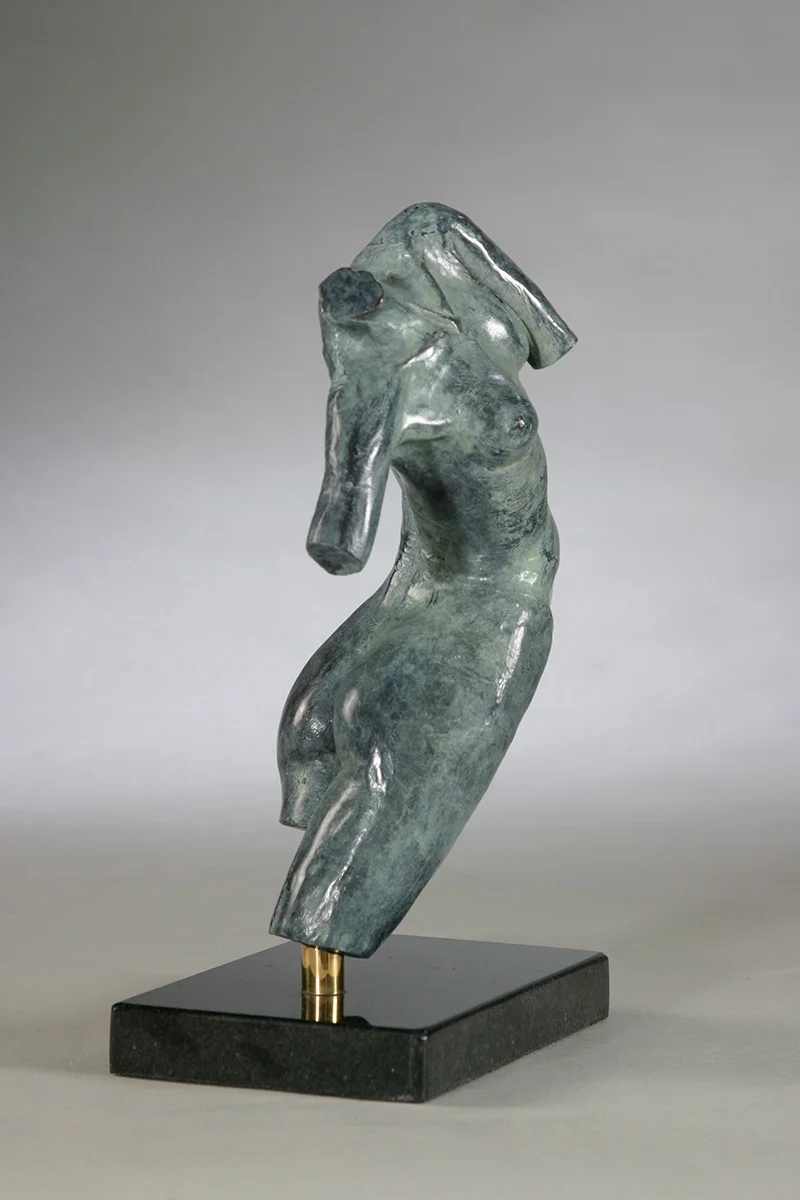 ASPAS Oratation Presentation Torso 2007
