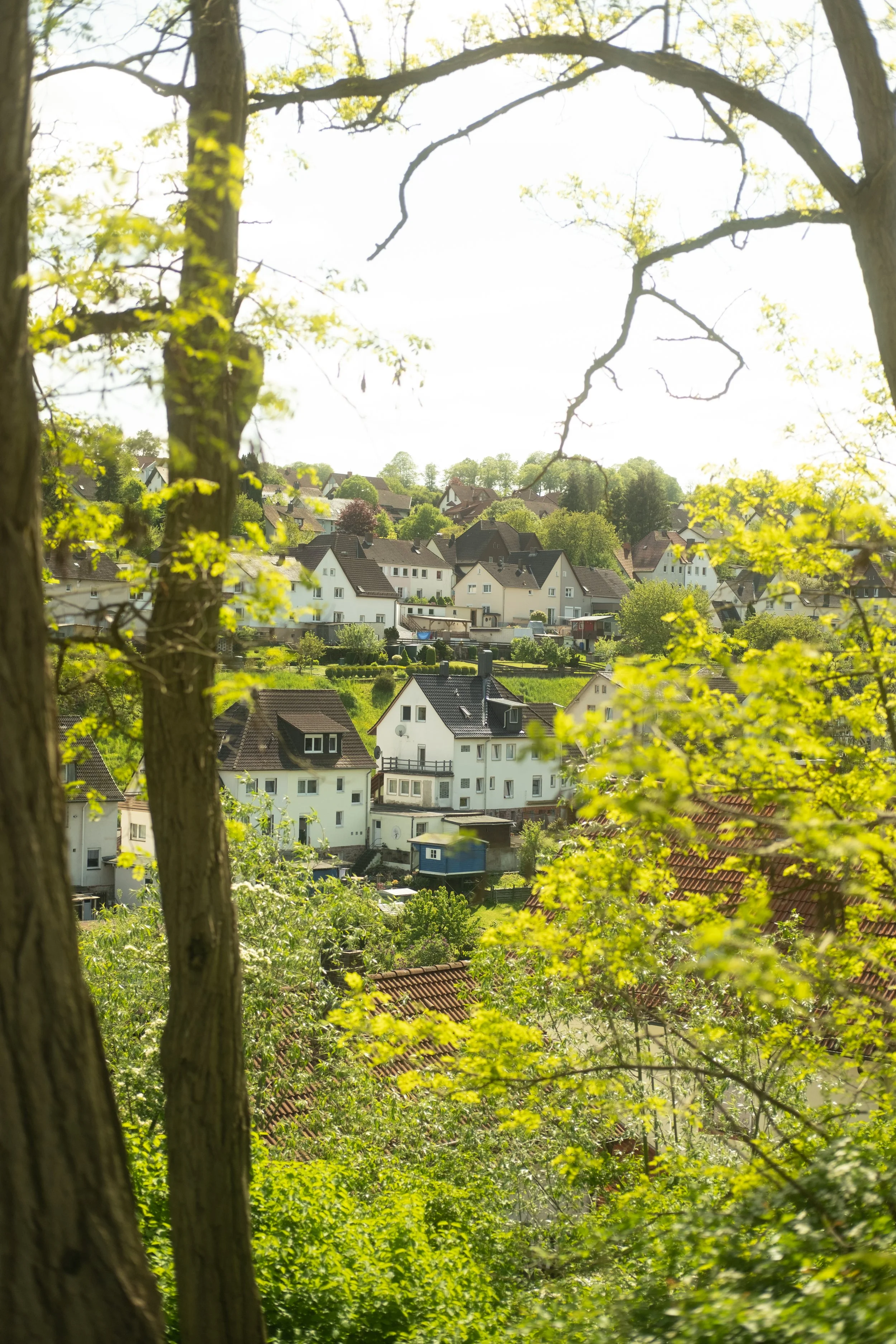 EXPORT 1 GERMANY-15.jpg