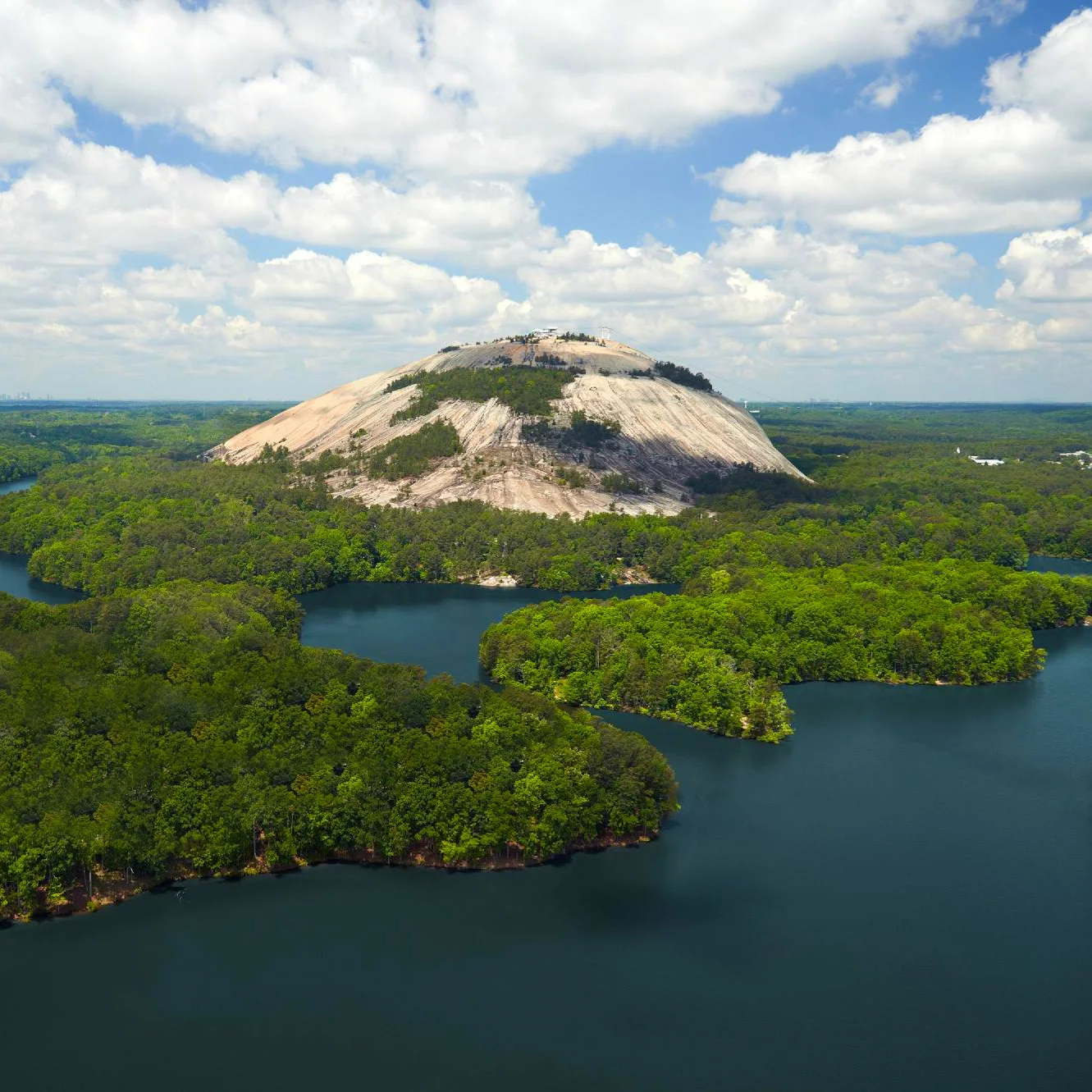 atlanta-evergreen-02.jpg