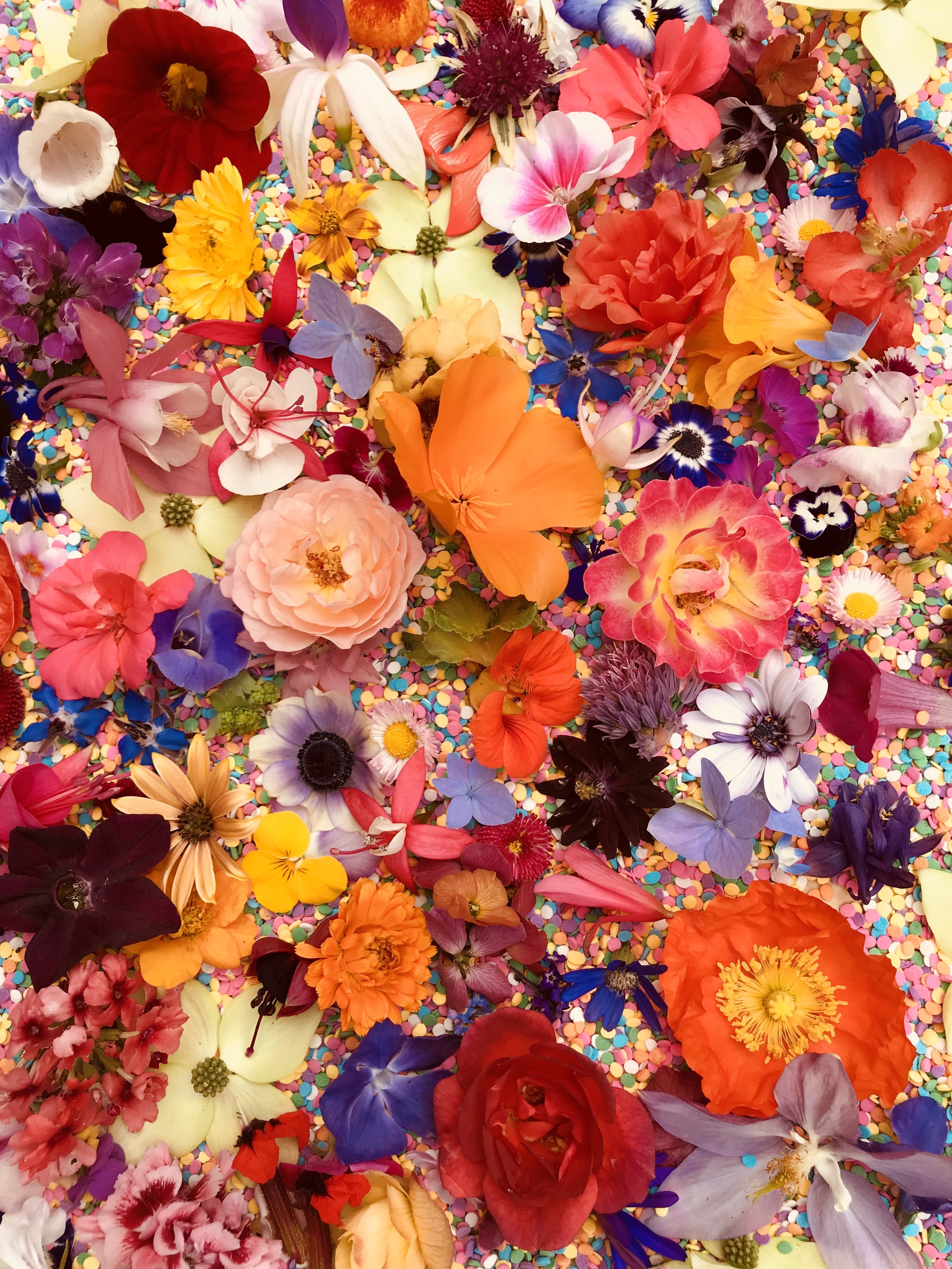 Summer confetti