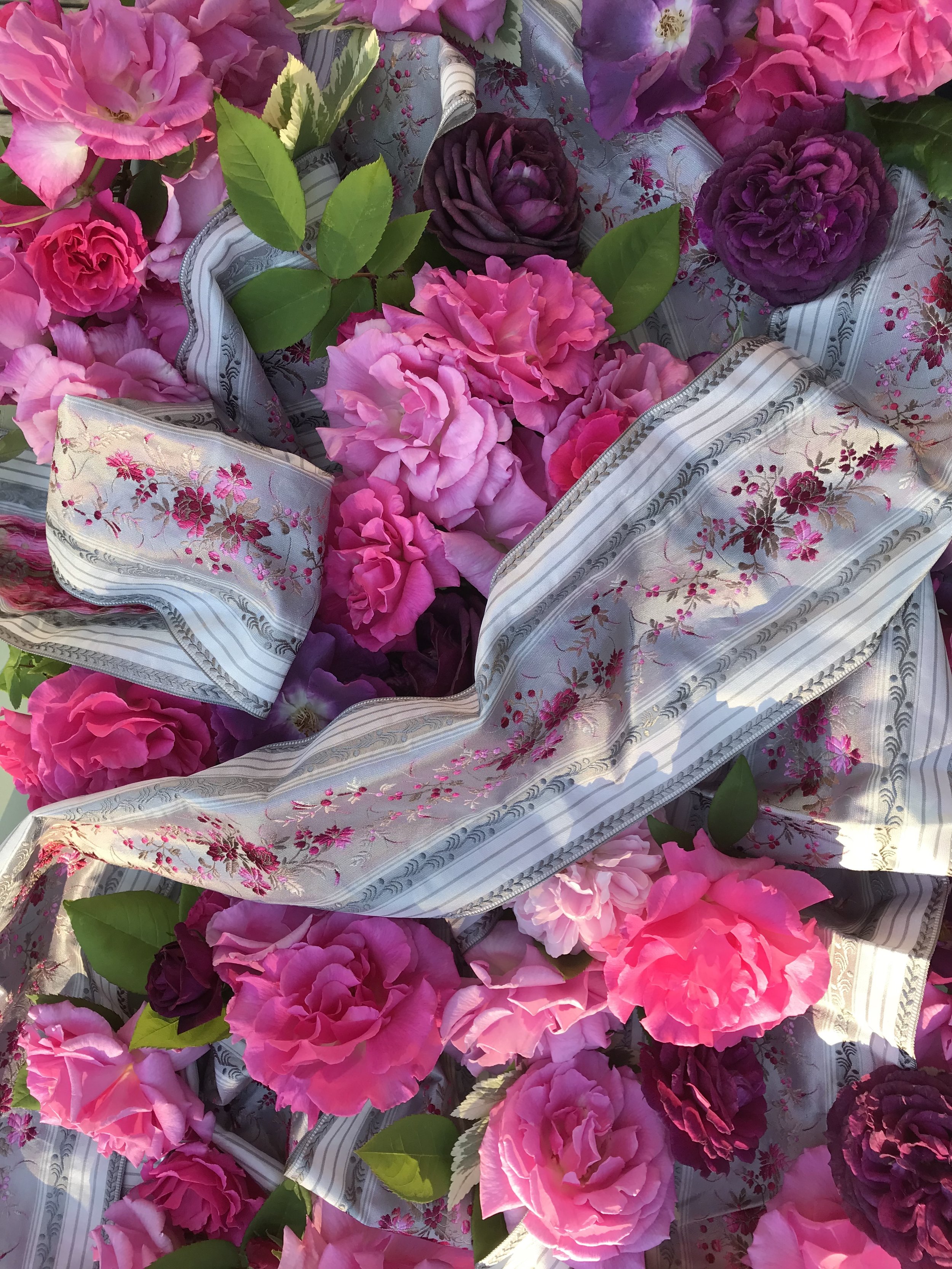 Roses - antique