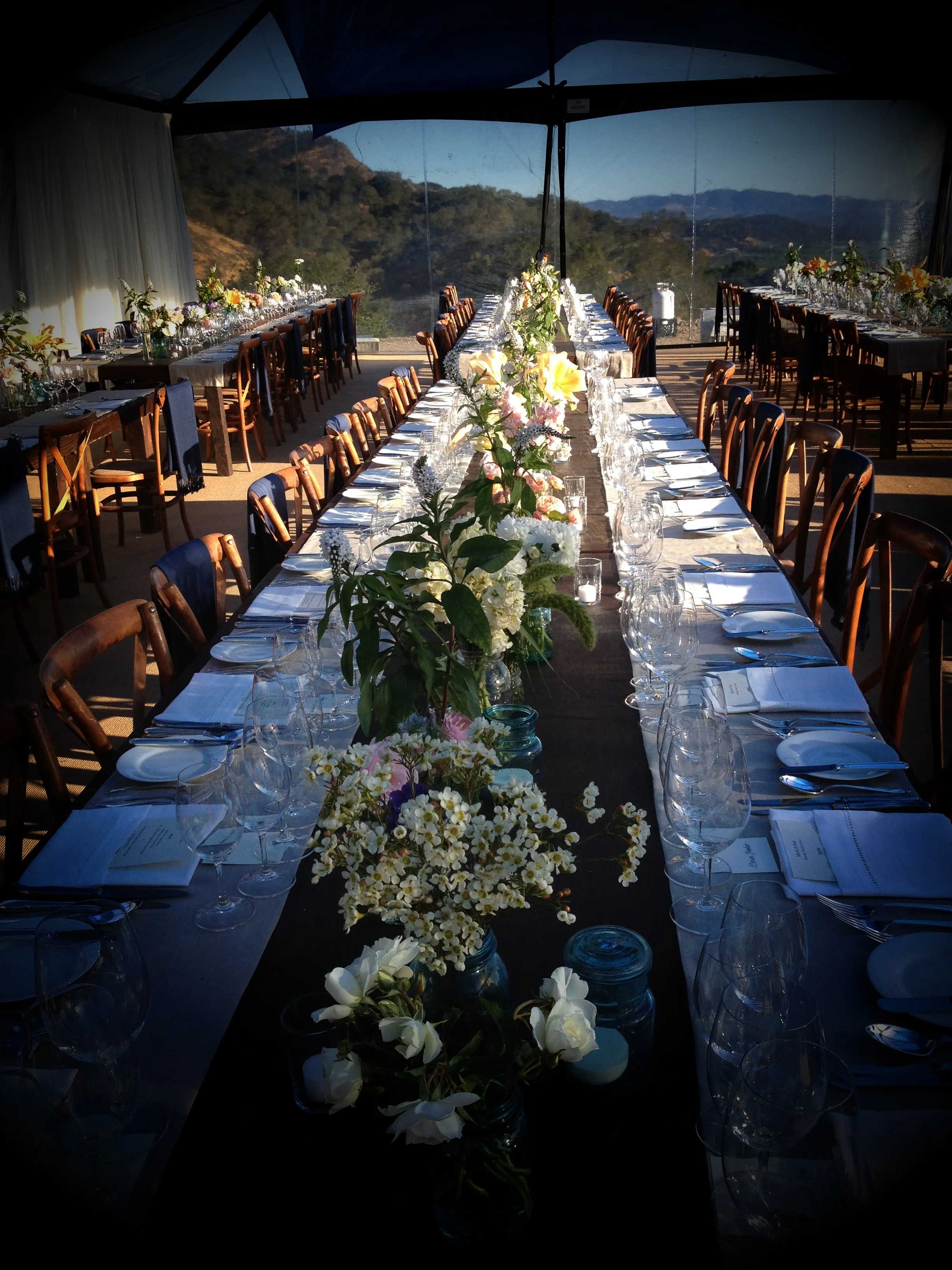 Napa wedding