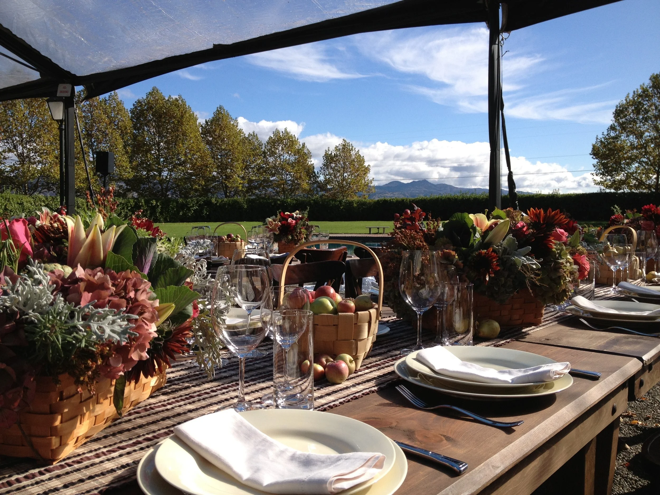 Napa luncheon