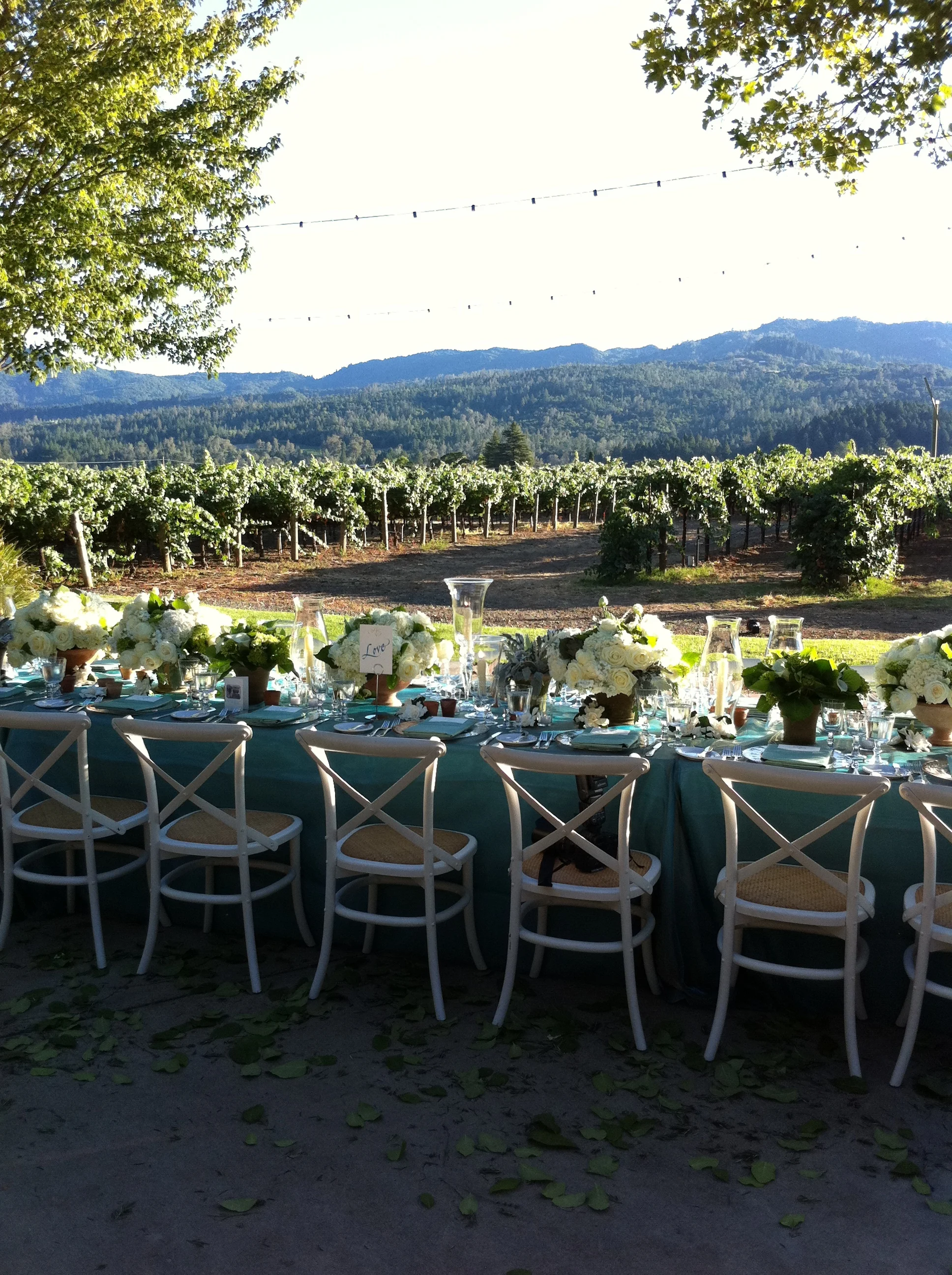 Vineyard wedding