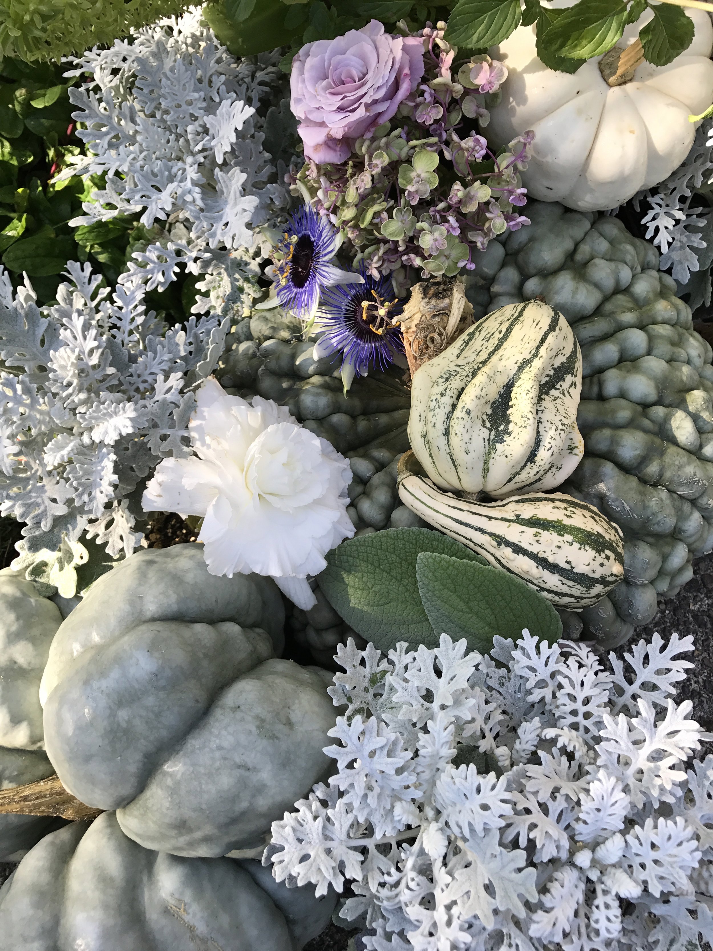 Silver autumn