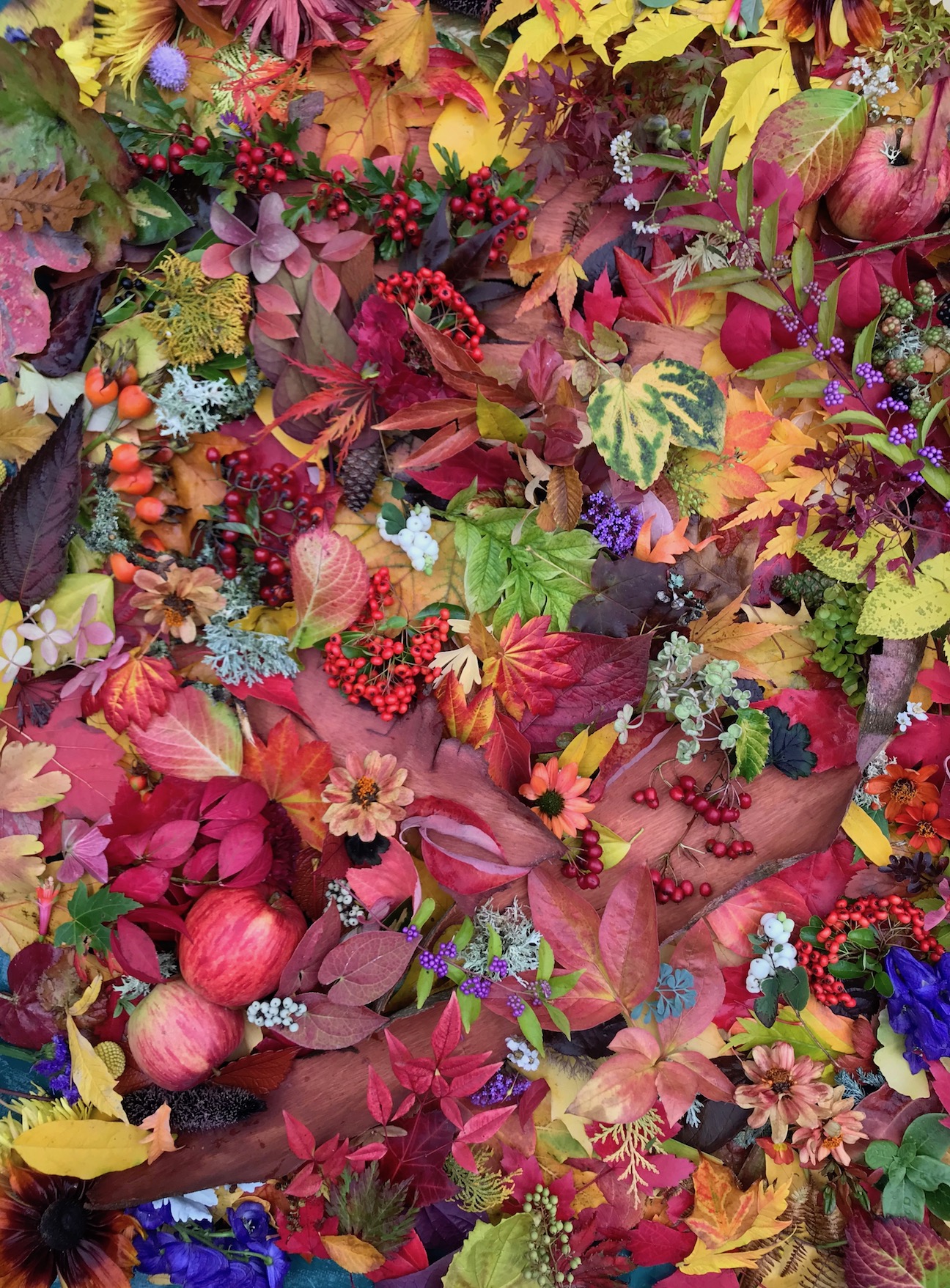 Autumn color October