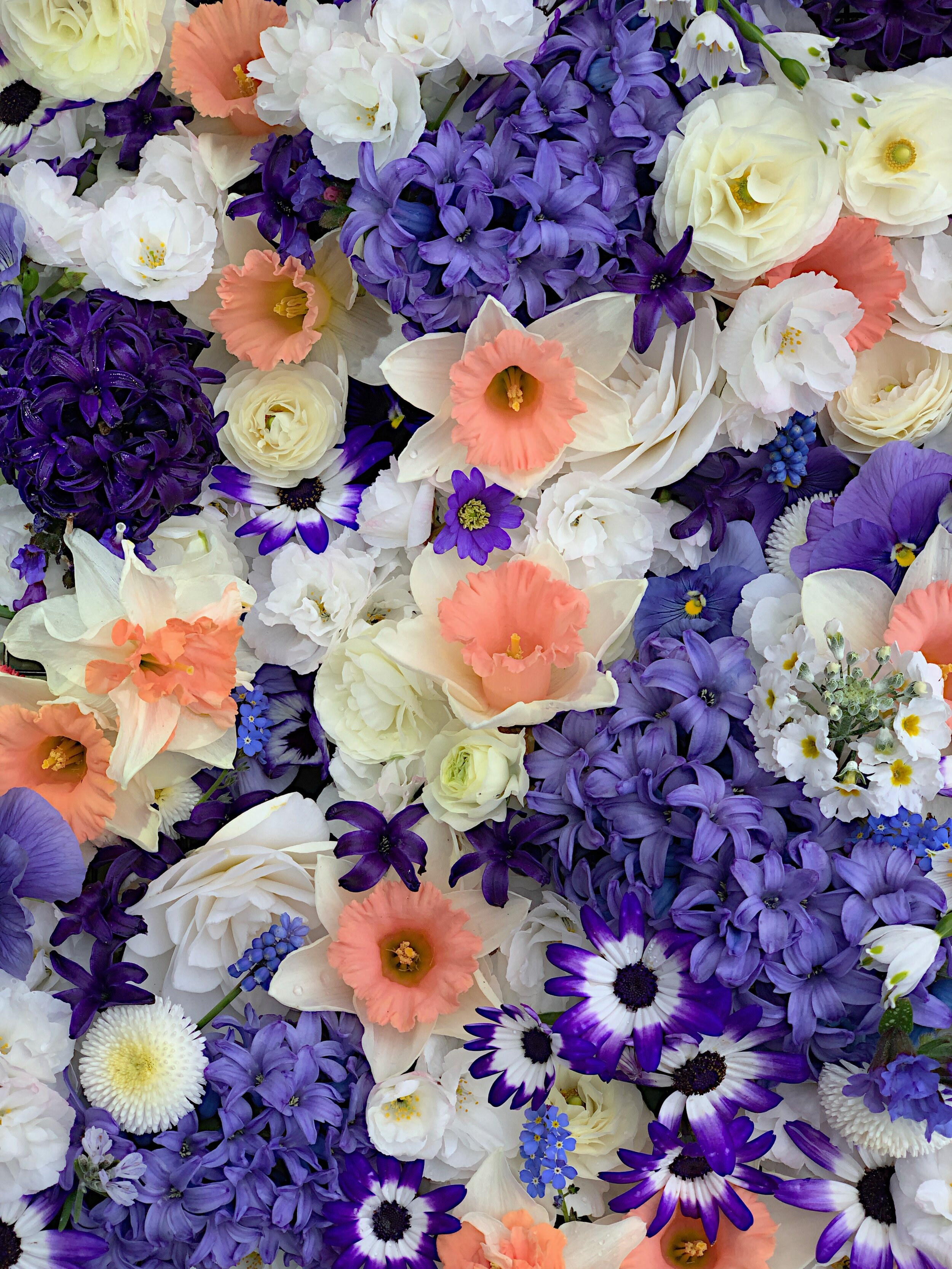Spring awakening