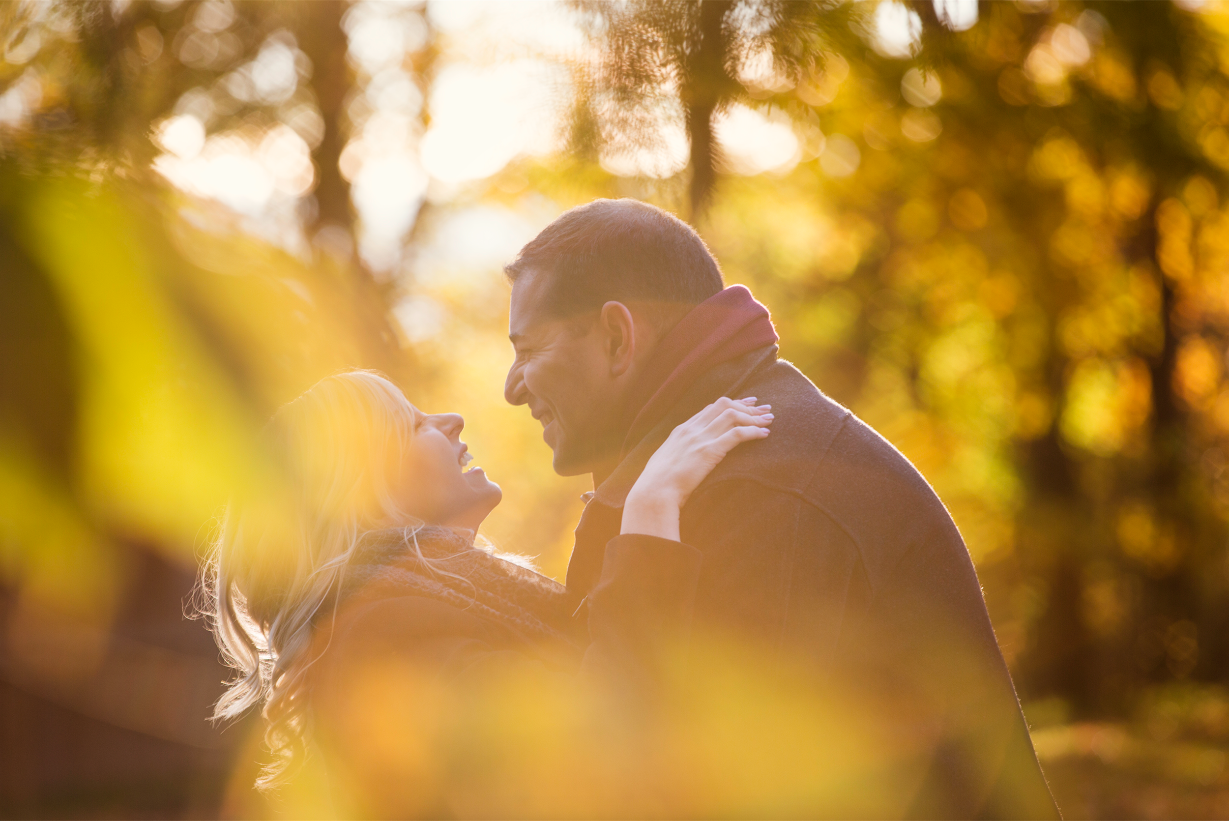 Screen Shot 2016-01-04 at 12.40.36 PM.png