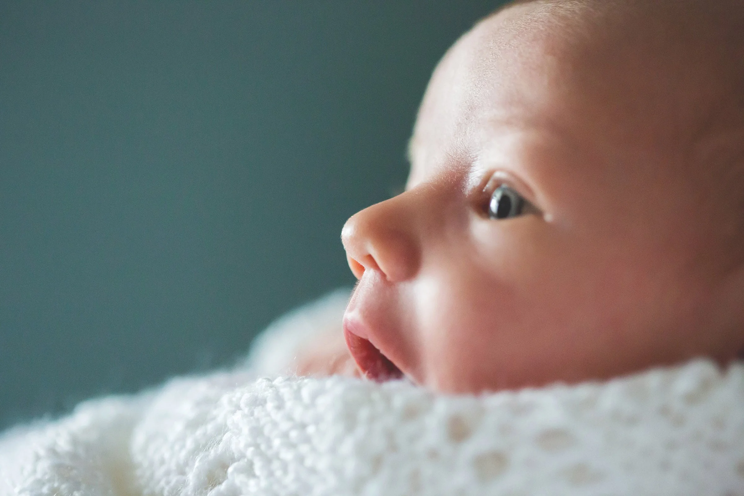 Gavin  |  Hamilton Lifestyle Photographer  |  Moments -by Lauren