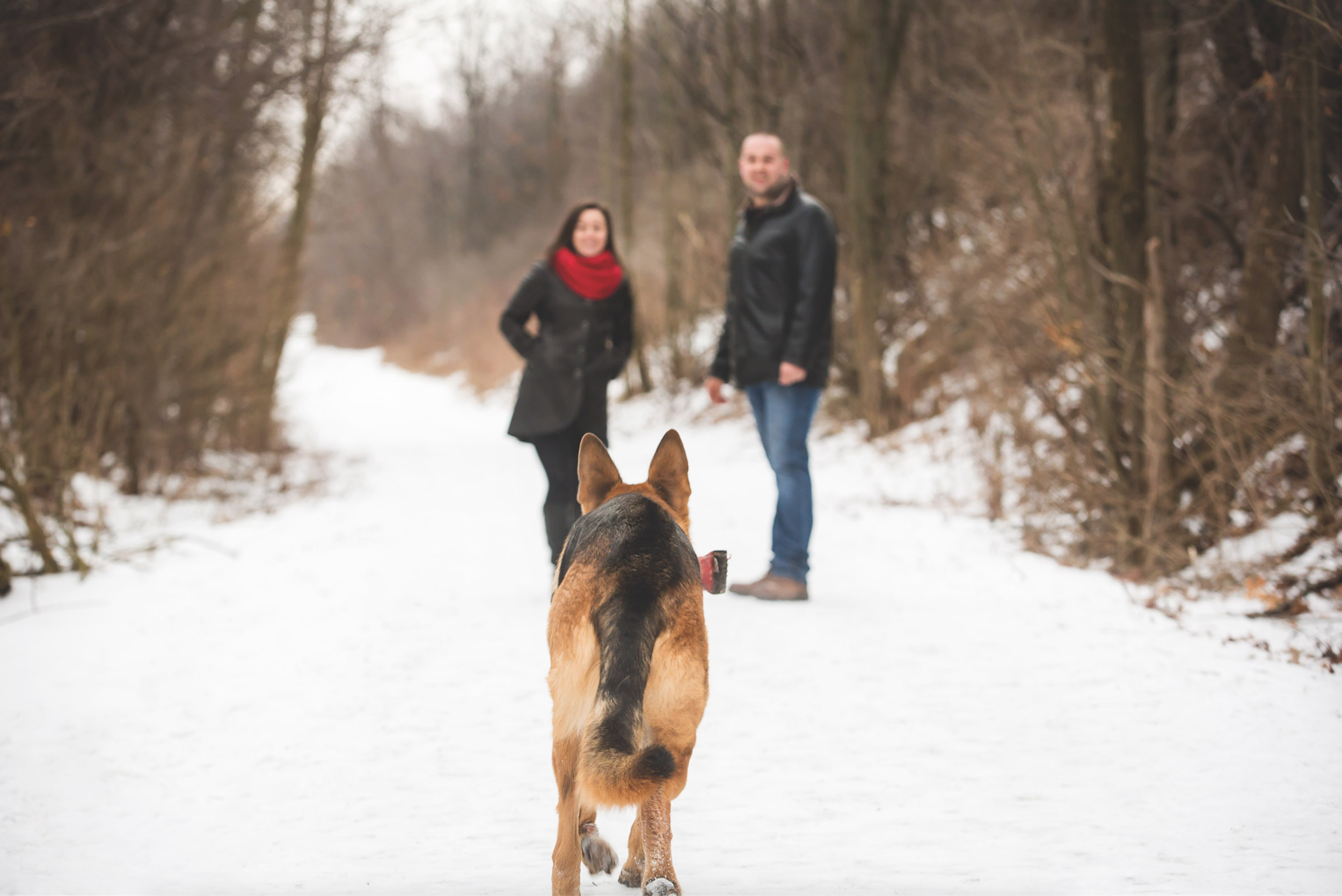 Engagement-Photos-Hamilton-Niagara-Toronto-Burlington-Oakville-Photographer-Engaged-Ring-Photography-Dog-Winter-Moments-by-Lauren-Image-4.png