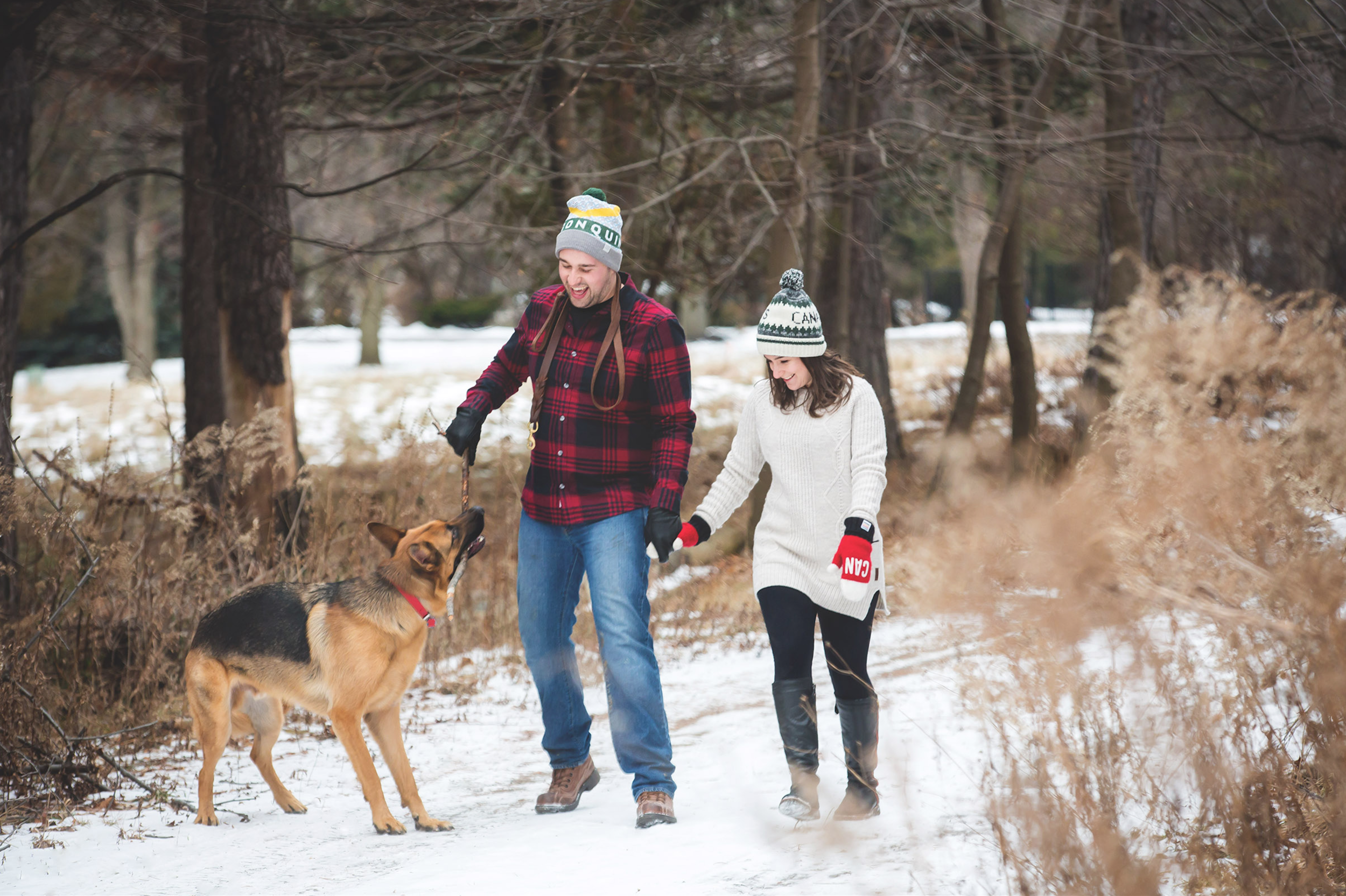 Engagement-Photos-Hamilton-Niagara-Toronto-Burlington-Oakville-Photographer-Engaged-Ring-Photography-Dog-Winter-Moments-by-Lauren-Image-5.png