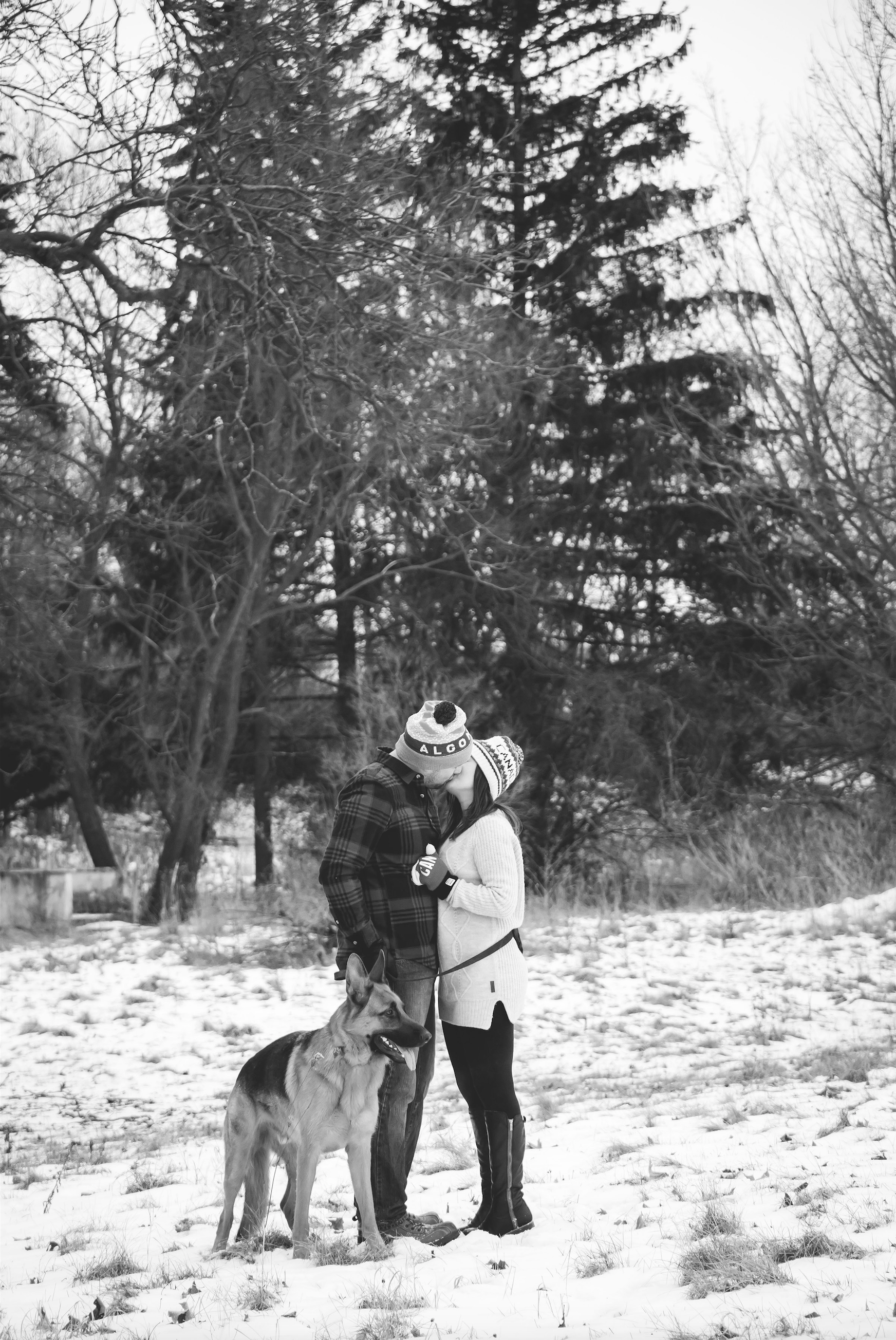 Engagement-Photos-Hamilton-Niagara-Toronto-Burlington-Oakville-Photographer-Engaged-Ring-Photography-Dog-Winter-Moments-by-Lauren-Image-15.png