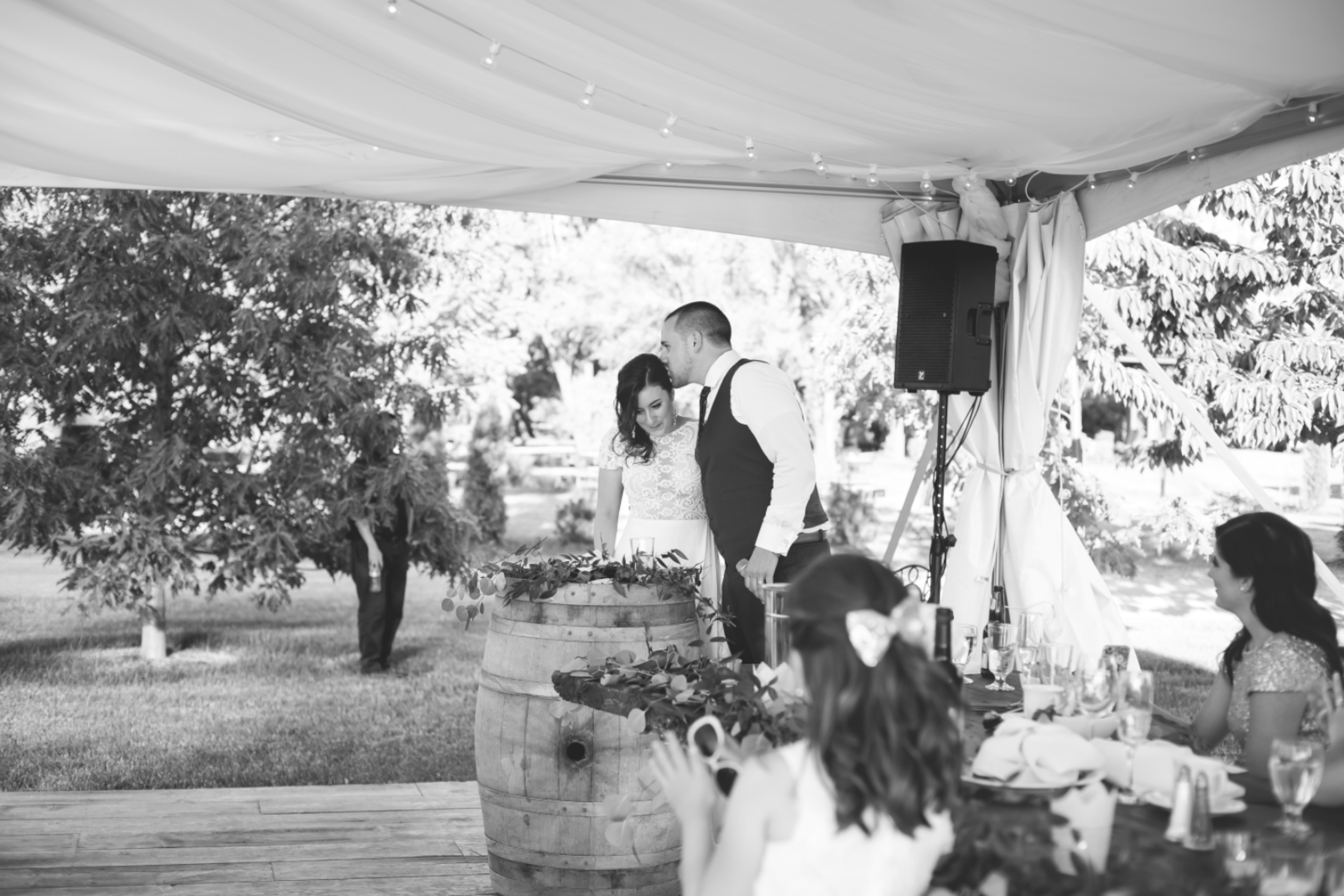 Wedding-Kurtz-Orchard-Market-Niagara-On-The-Lake-Toronto-Hamilton-Burlington-Oakville-Niagara-Wedding-Photographer-Photography-Moments-by-Lauren-Photo-Image-73.png