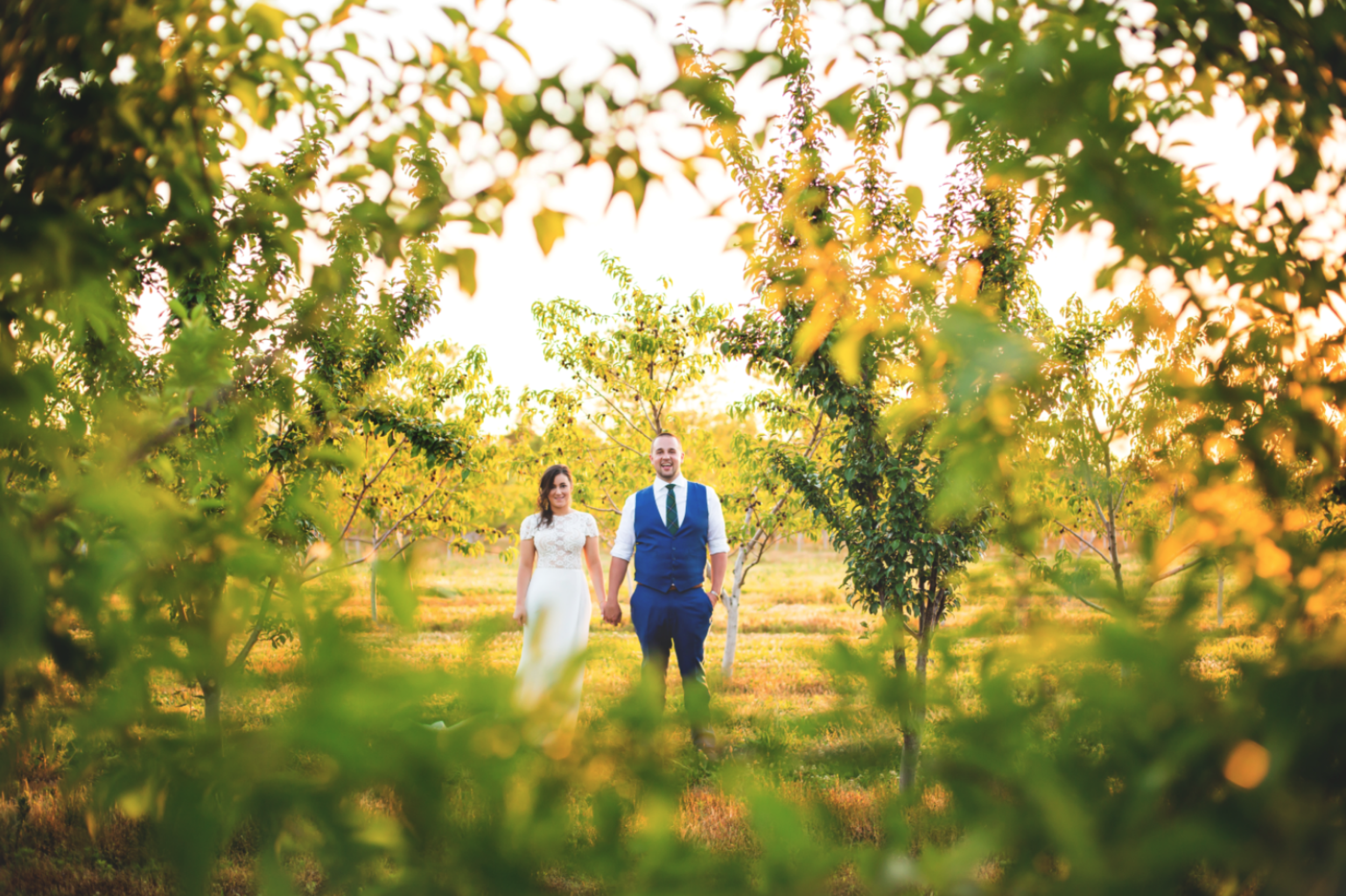 Wedding-Kurtz-Orchard-Market-Niagara-On-The-Lake-Toronto-Hamilton-Burlington-Oakville-Niagara-Wedding-Photographer-Photography-Moments-by-Lauren-Photo-Image-78.png
