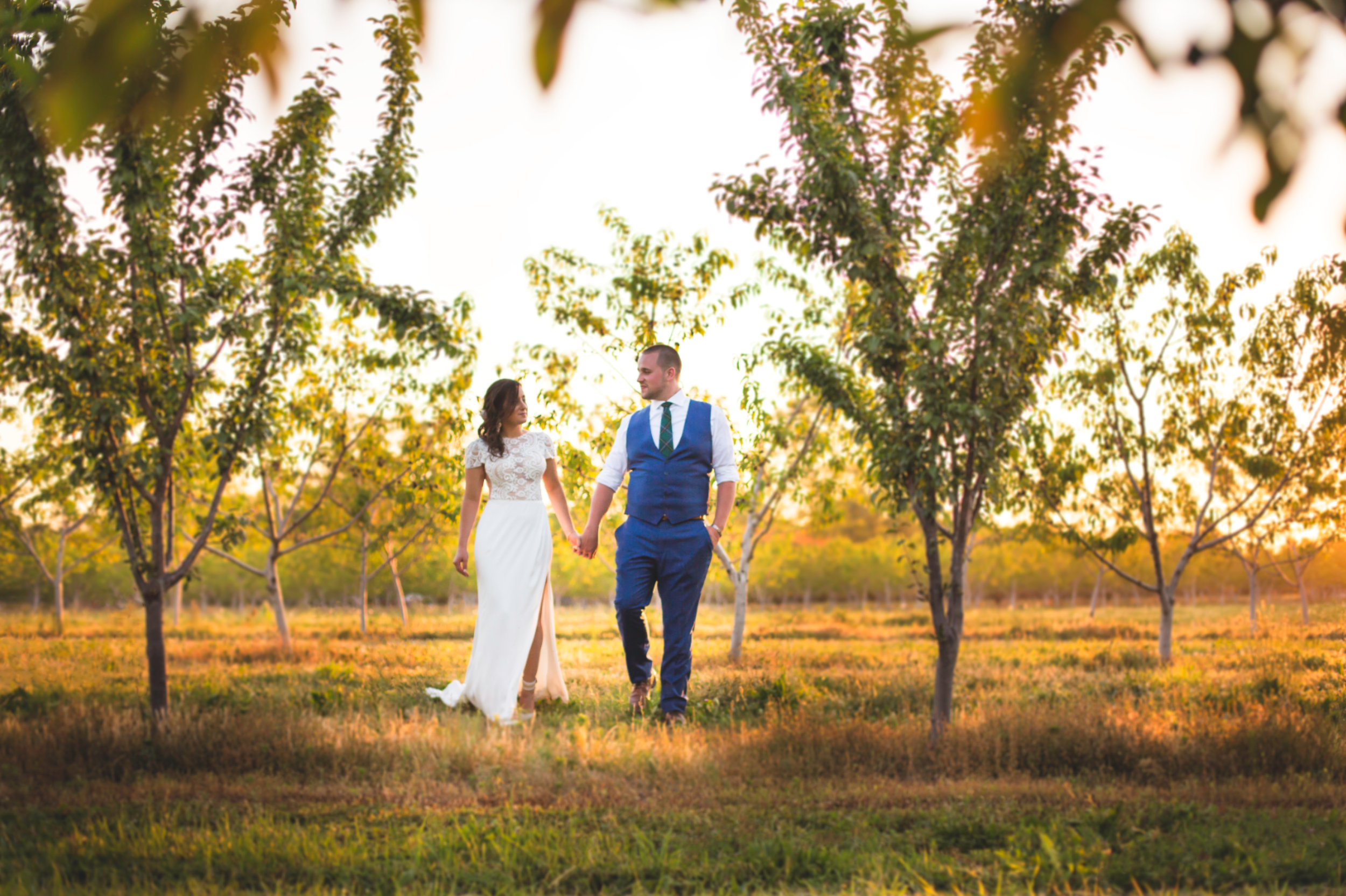 Wedding-Kurtz-Orchard-Market-Niagara-On-The-Lake-Toronto-Hamilton-Burlington-Oakville-Niagara-Wedding-Photographer-Photography-Moments-by-Lauren-Photo-Image-79.png
