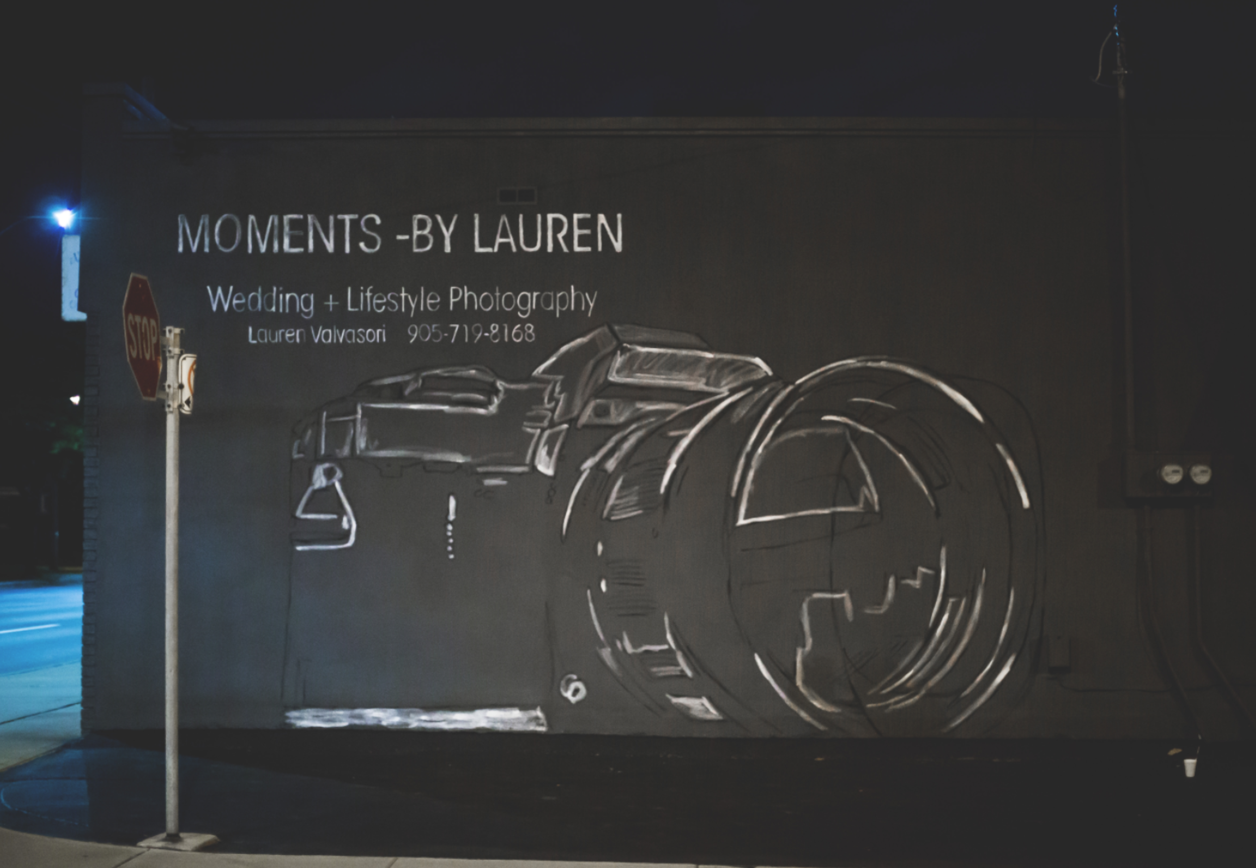 Moments-by-Lauren-Camera-Mural-Claire-Hall-Design-Photo-4.png