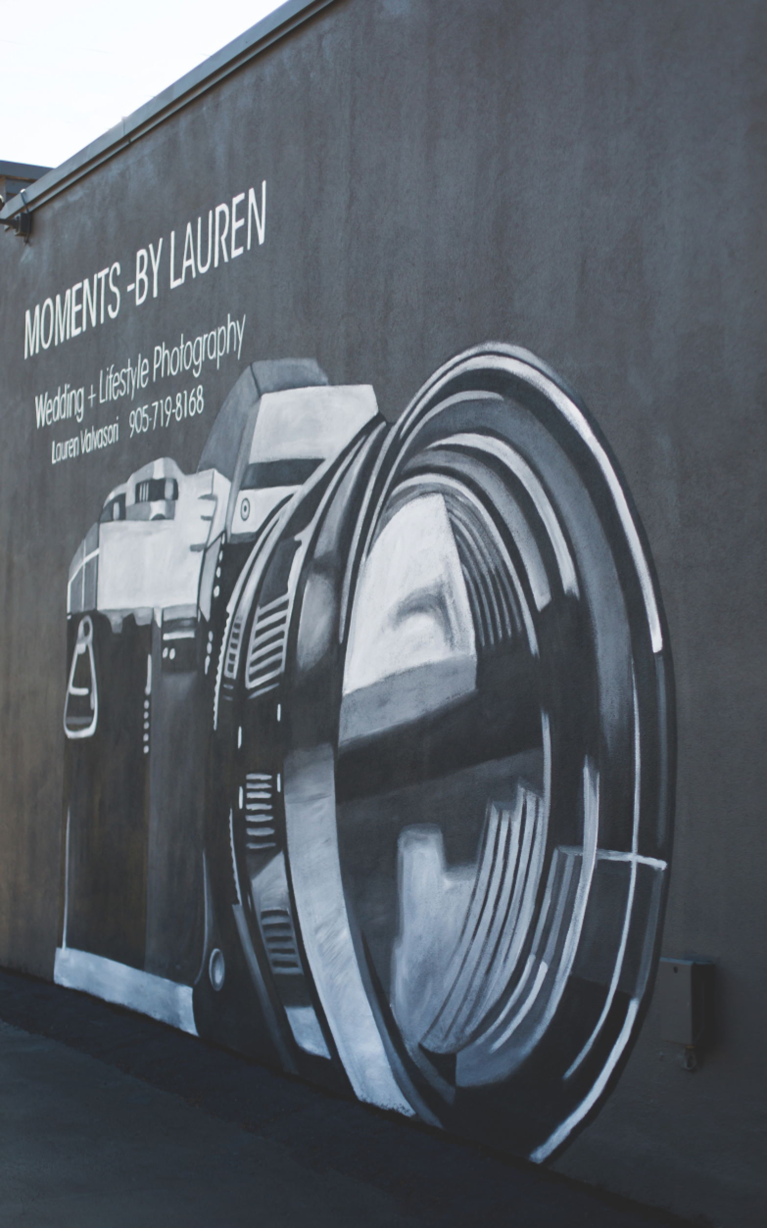 Moments-by-Lauren-Camera-Mural-Claire-Hall-Design-Photo-8-1.png
